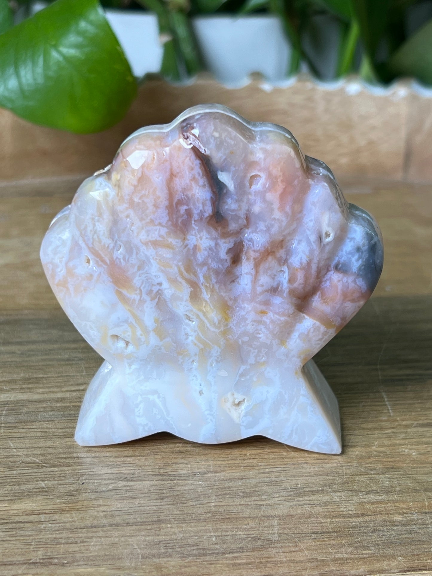 Rainbow Plume Agate Shell