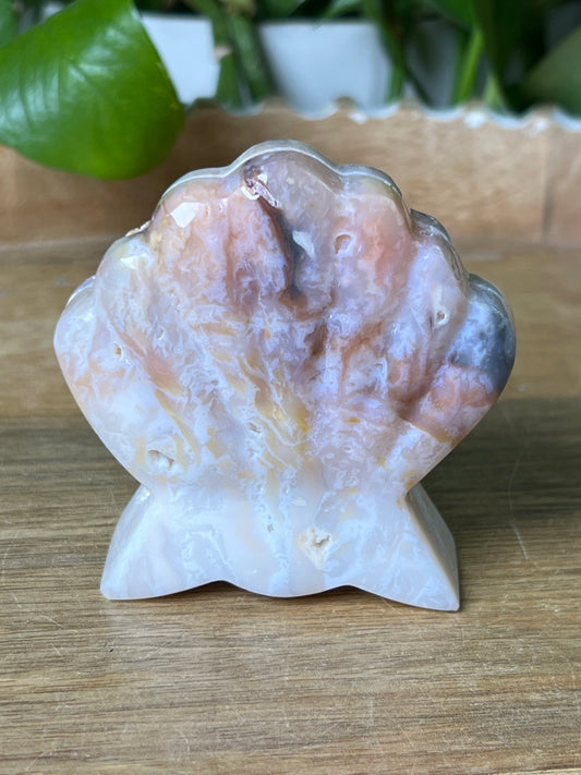 Rainbow Plume Agate Shell