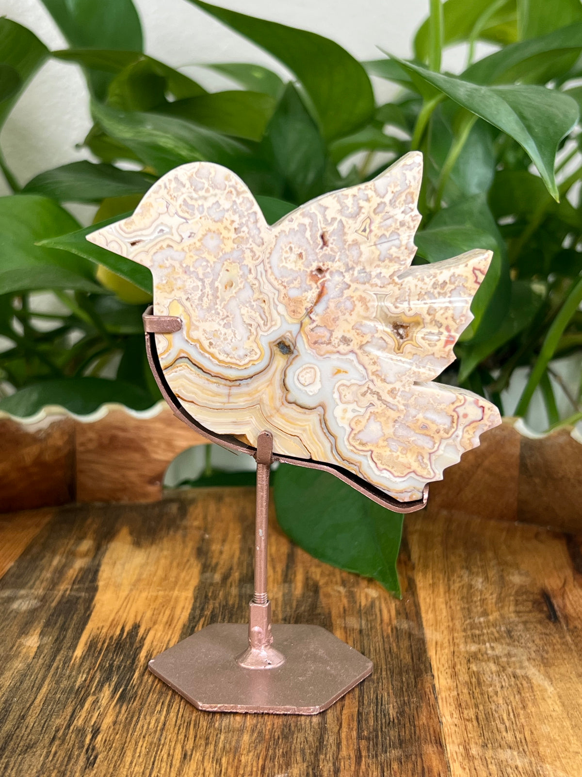 Crazy Lace Agate Birds