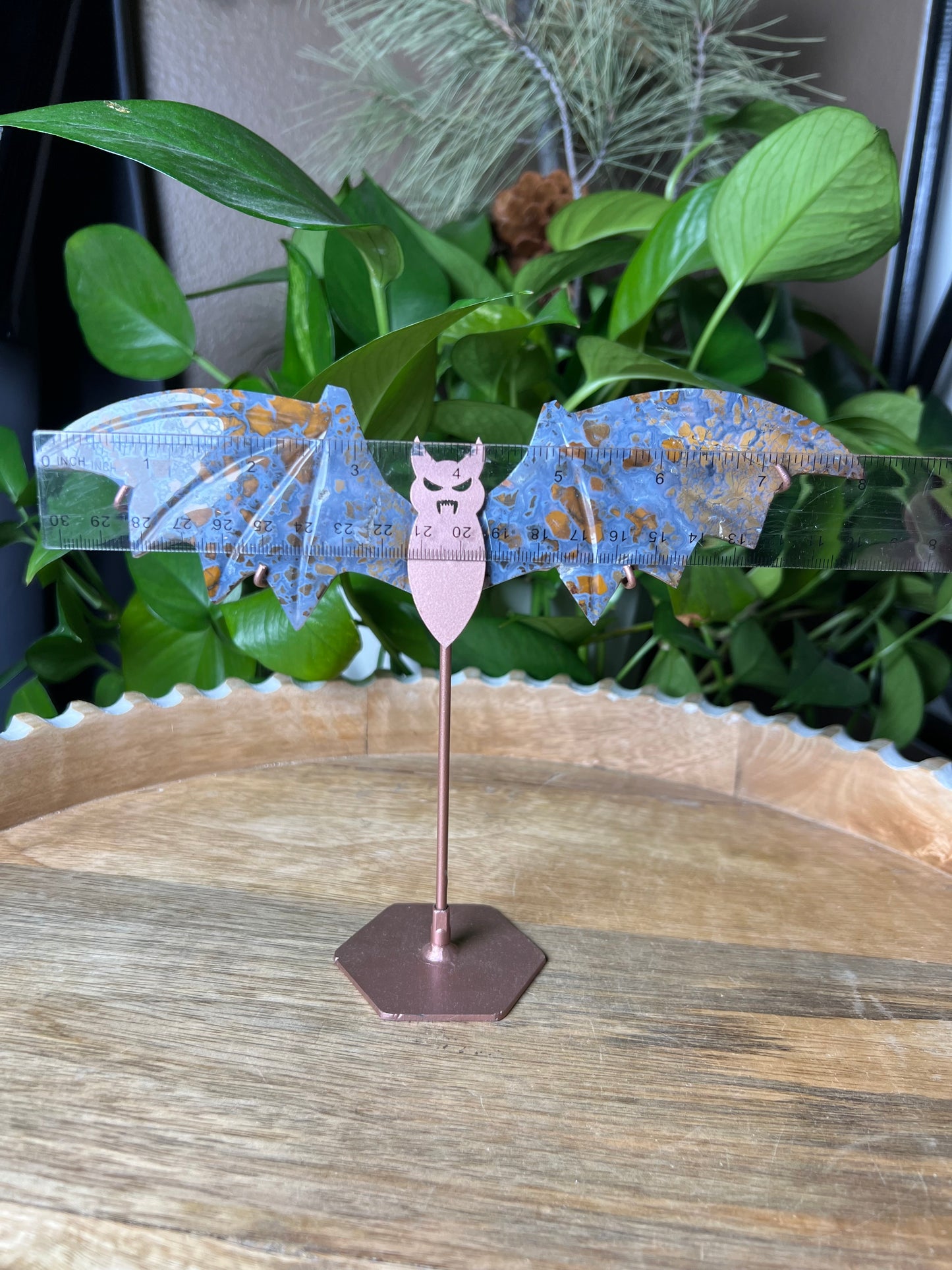 Brecciated Jasper Bat Wings