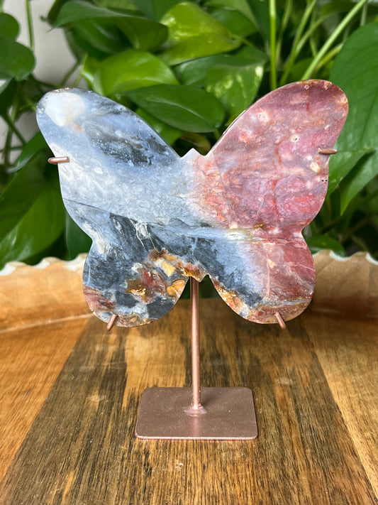 River Jasper Butterfly