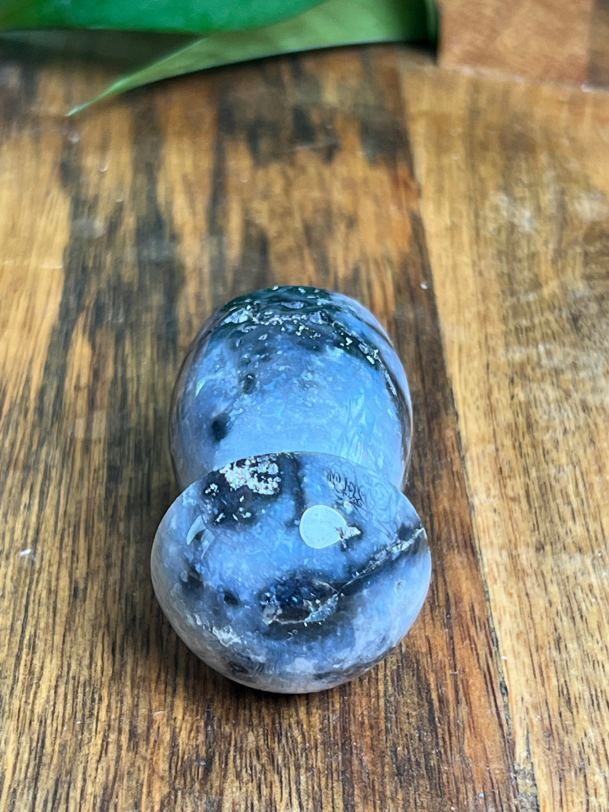 Blue Plume Agate Mushroom: EK
