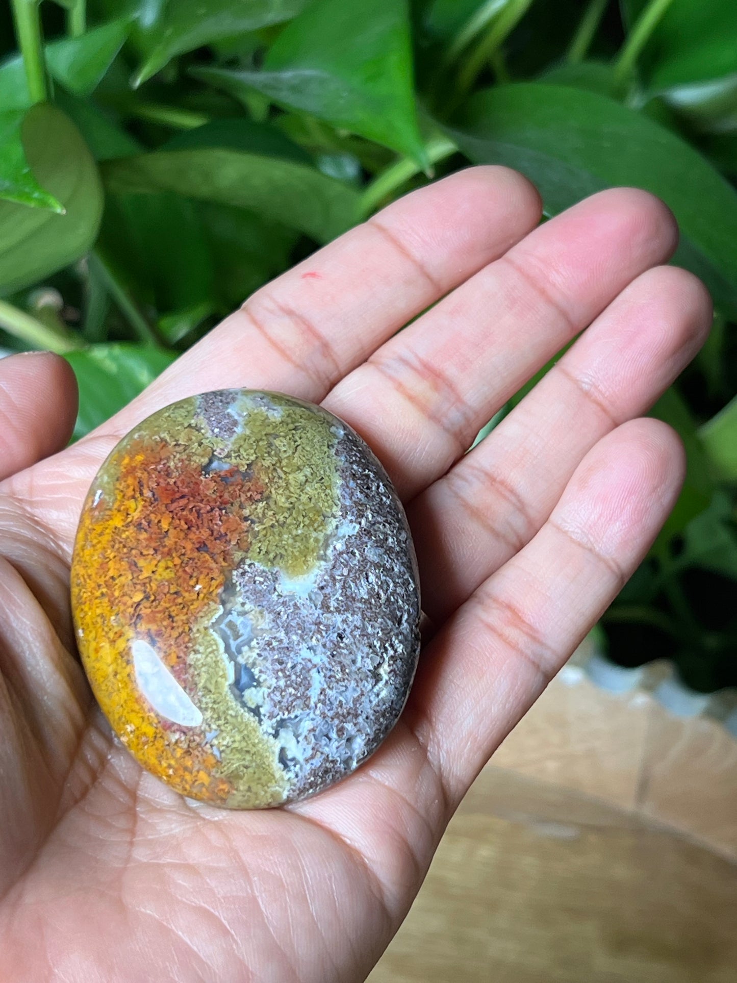 Scenic Moss Agate Palmstone