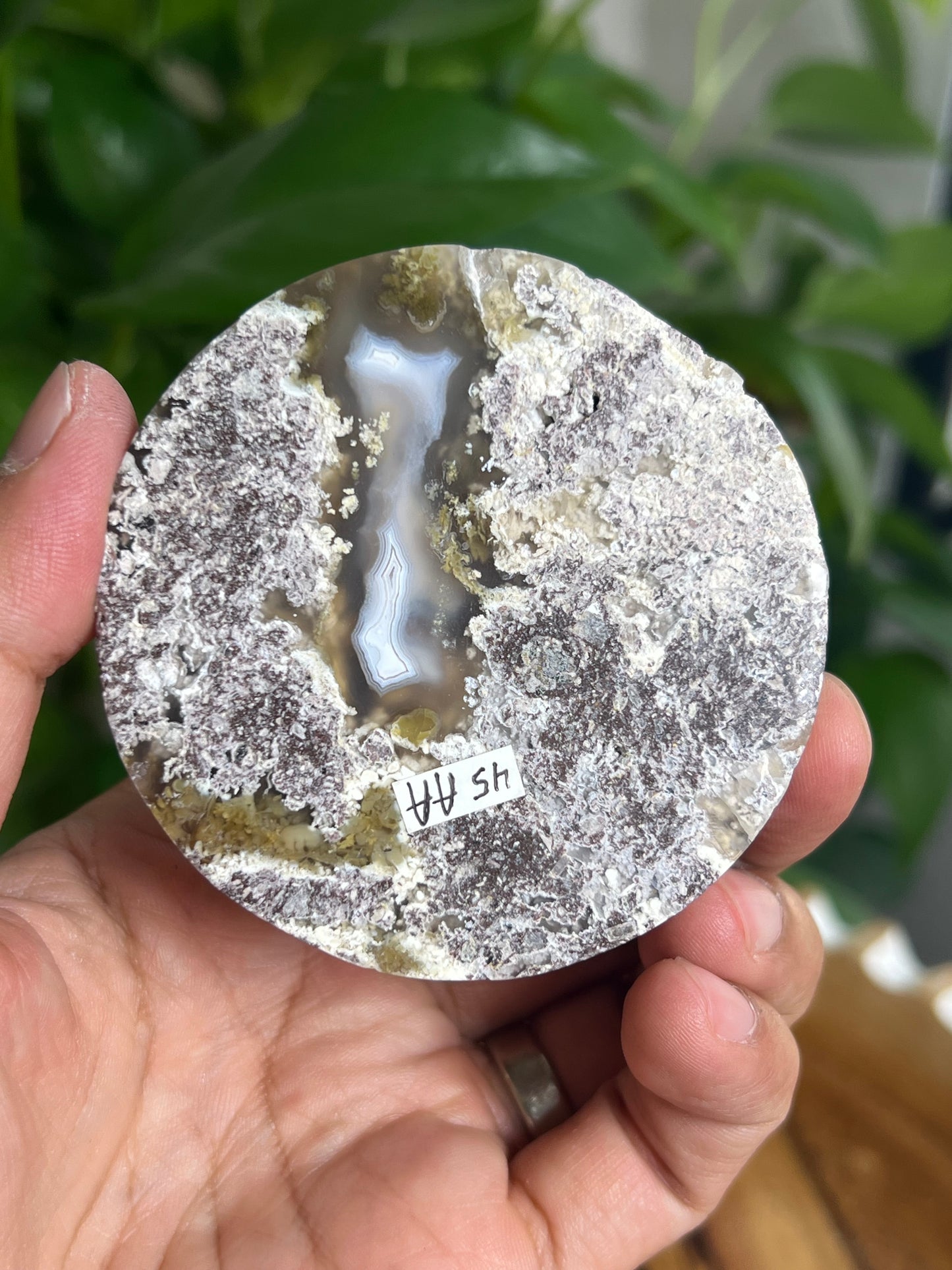 Scenic Moss Agate Coaster: AA
