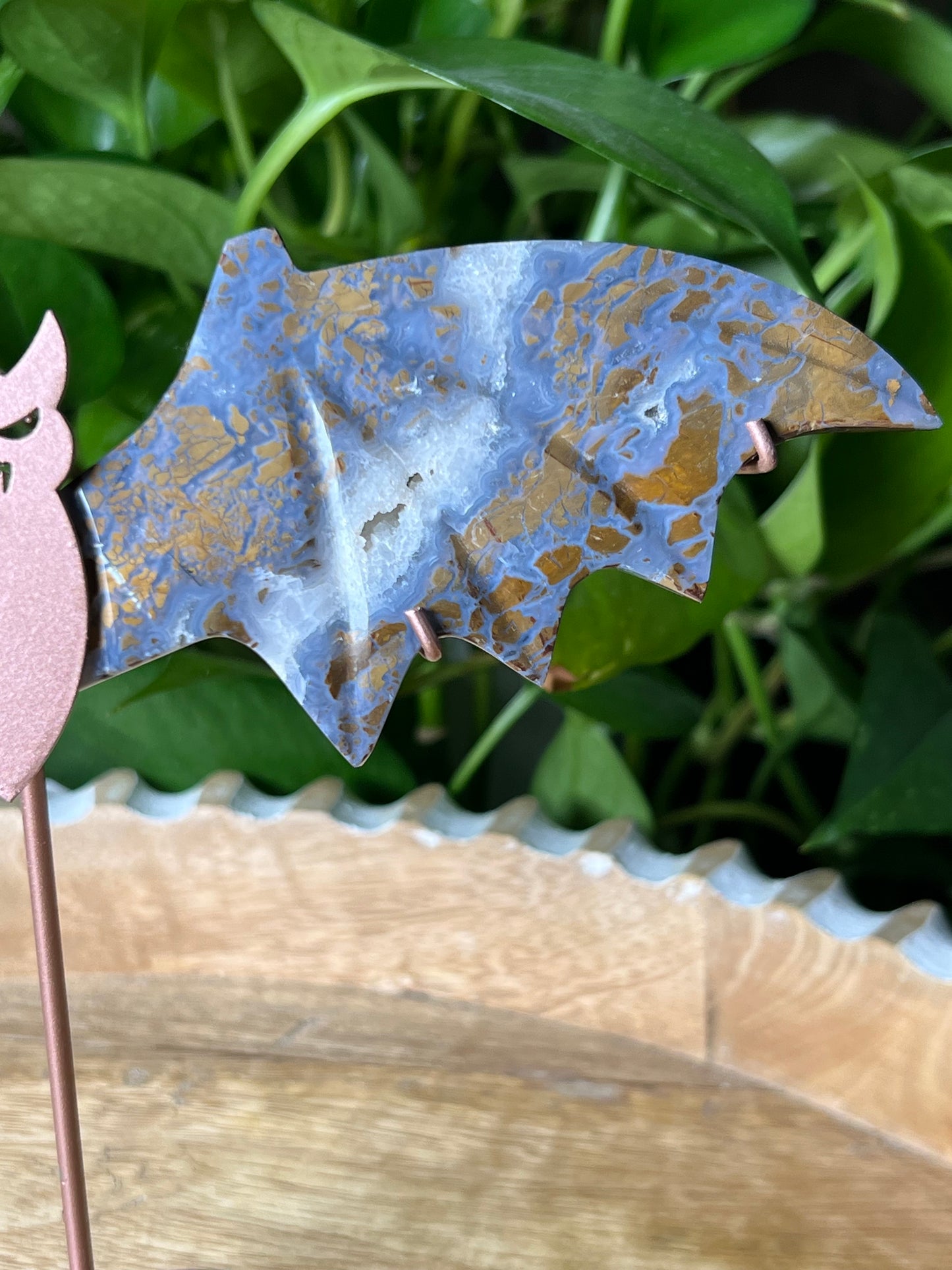 Brecciated Jasper Bat Wings