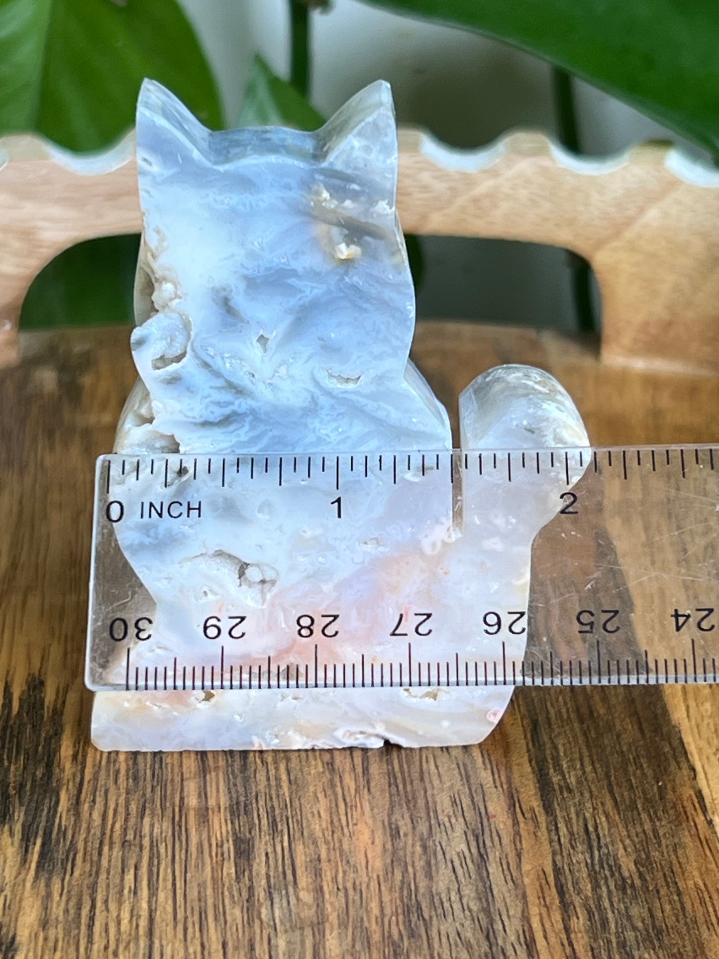 Rainbow Plume Agate Cat NH