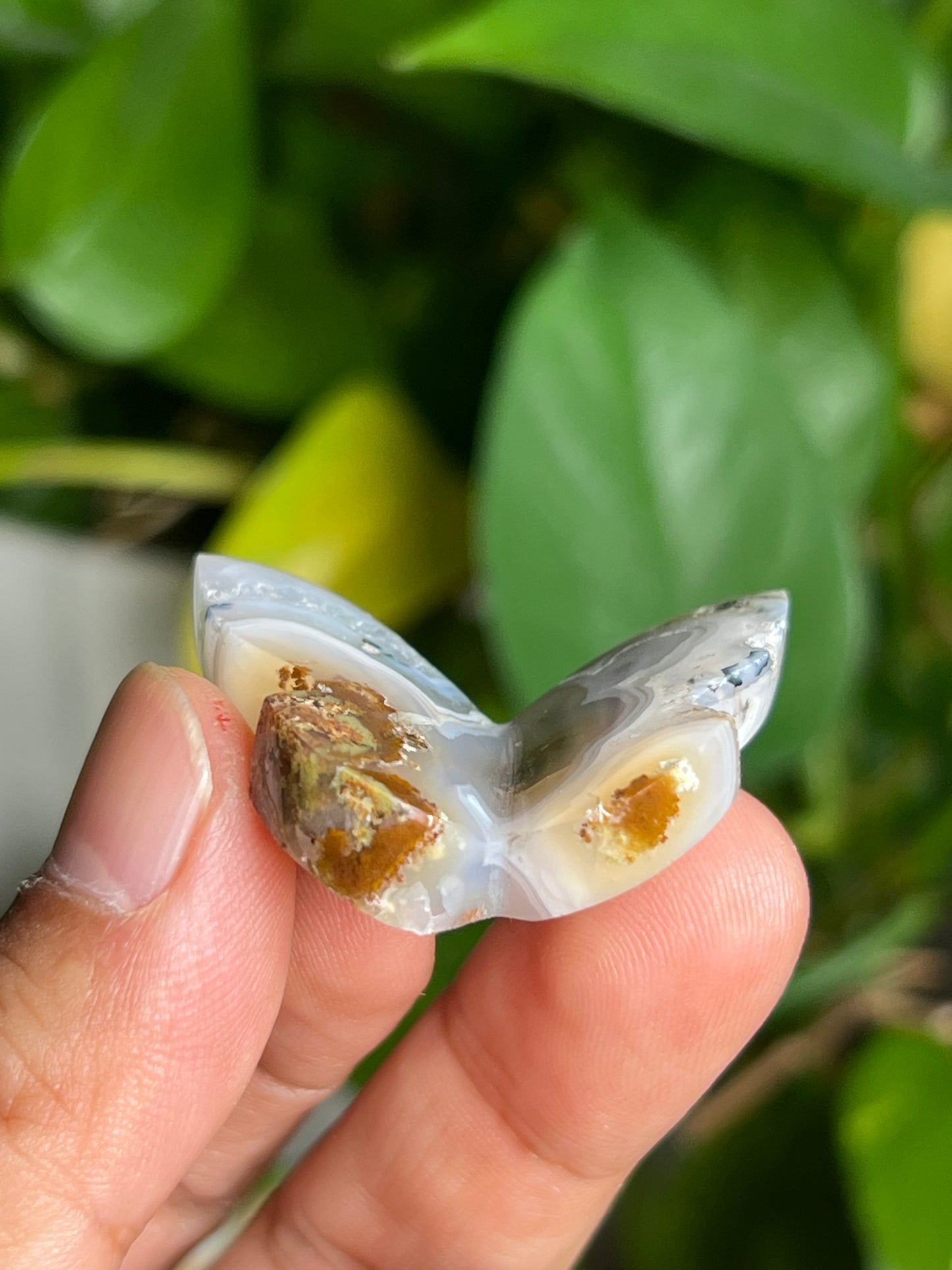 Scenic Moss Agate 3D Butterfly K