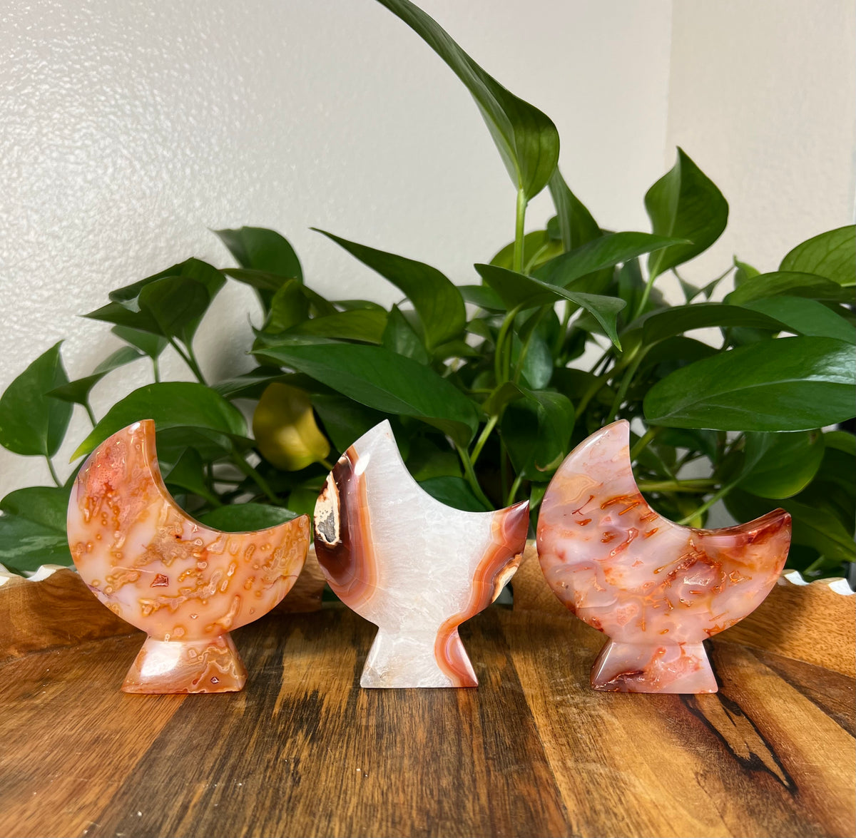 Red Carnelian Self Standing Moons