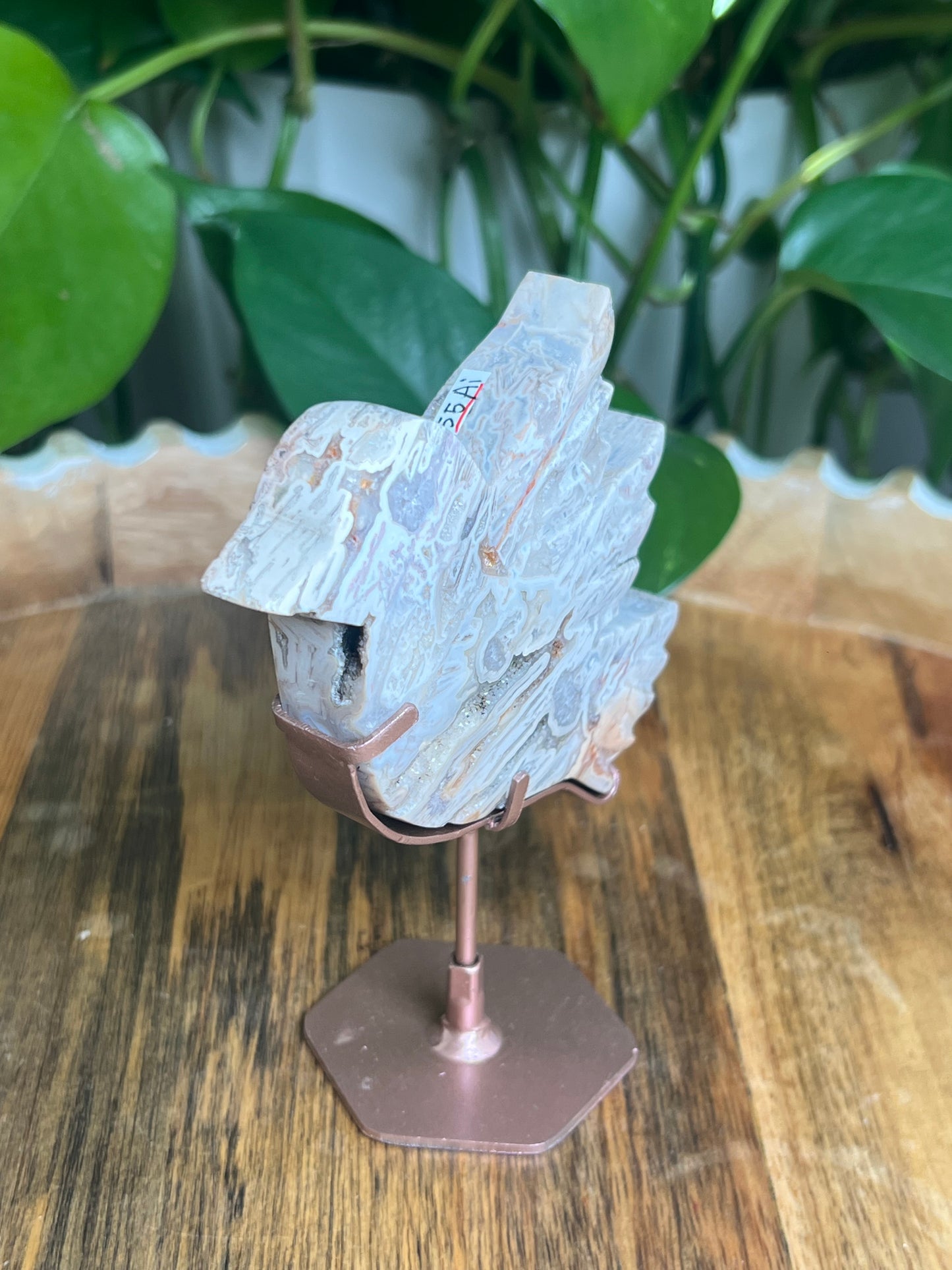 Tube Agate Bird: Ai