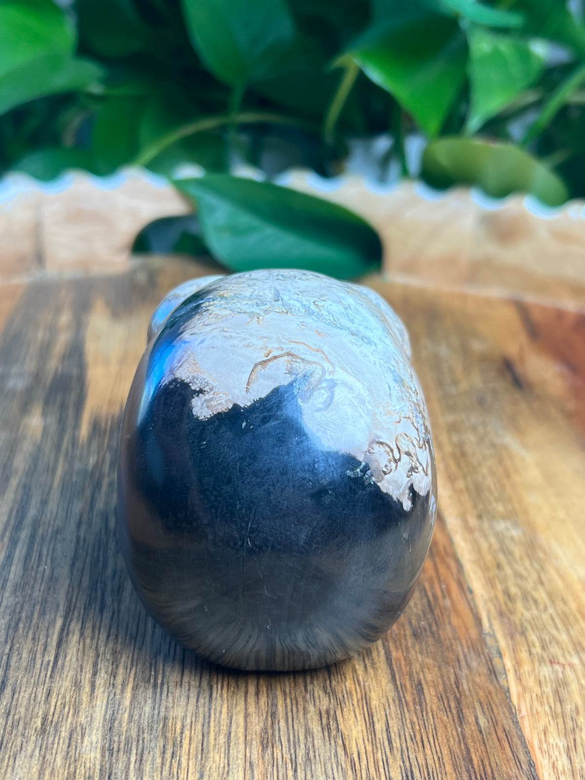 Palm Root Skull: ZL