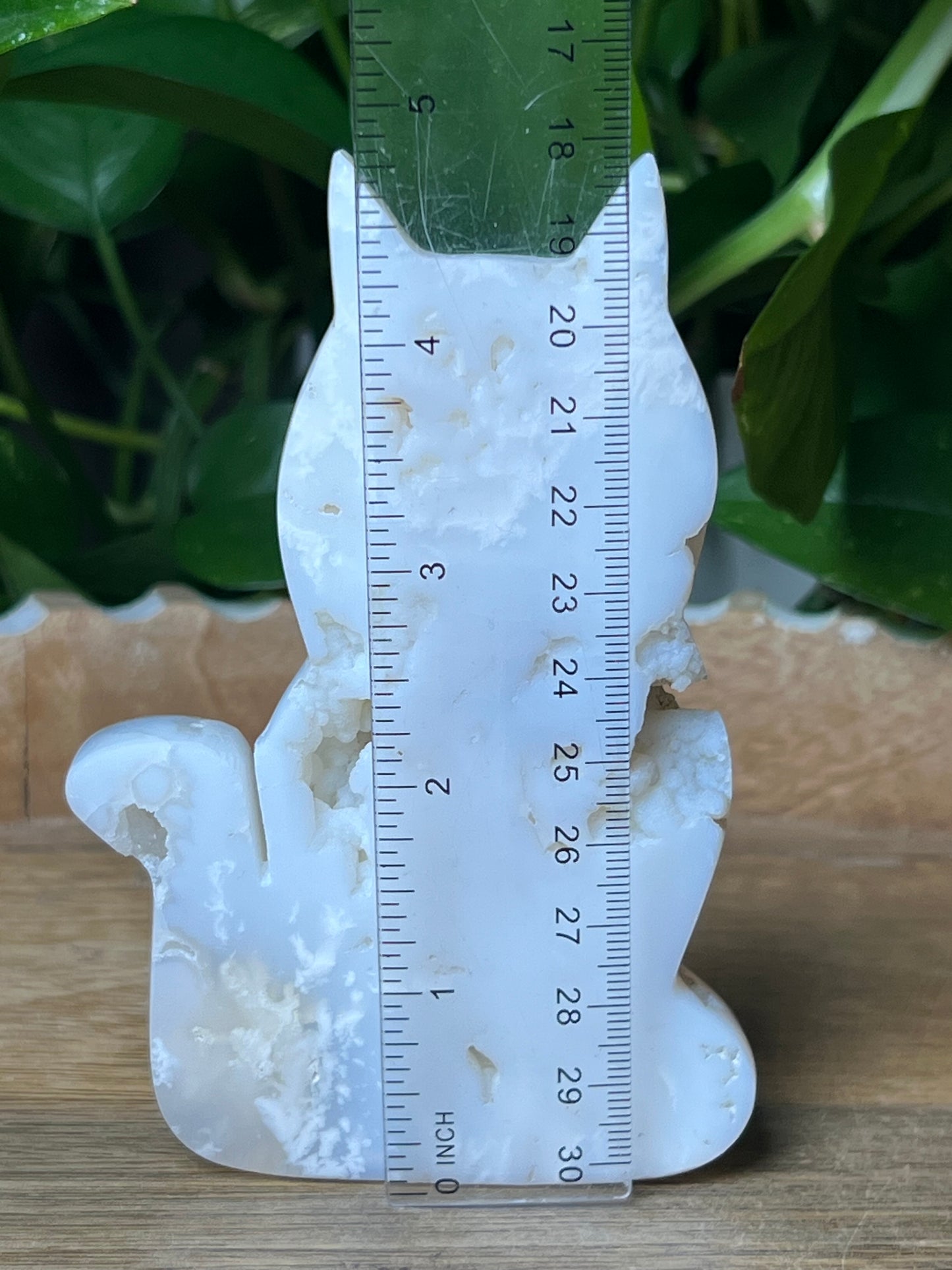 White Plume Agate Cat