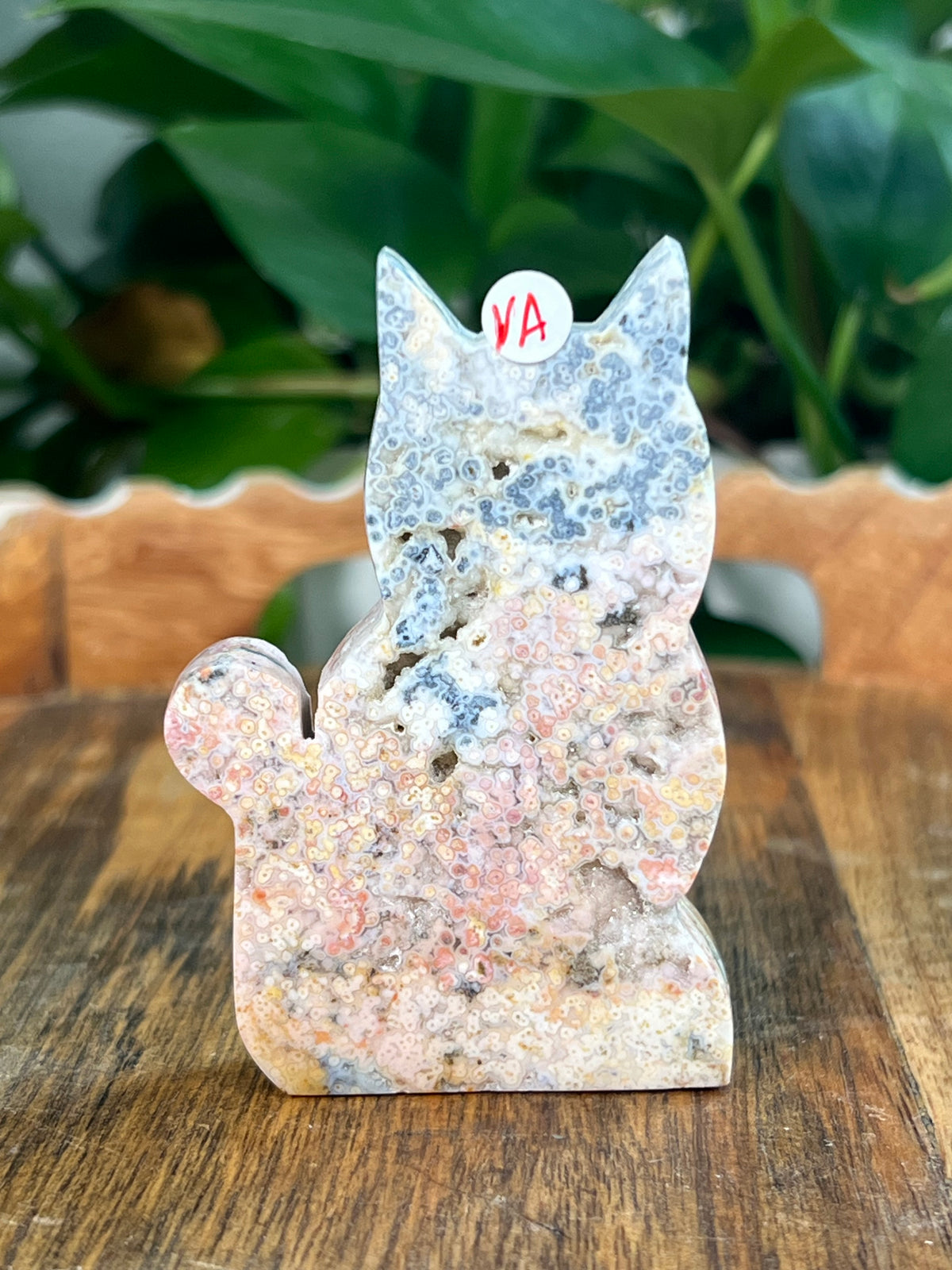 Sea Jasper Cats- Small