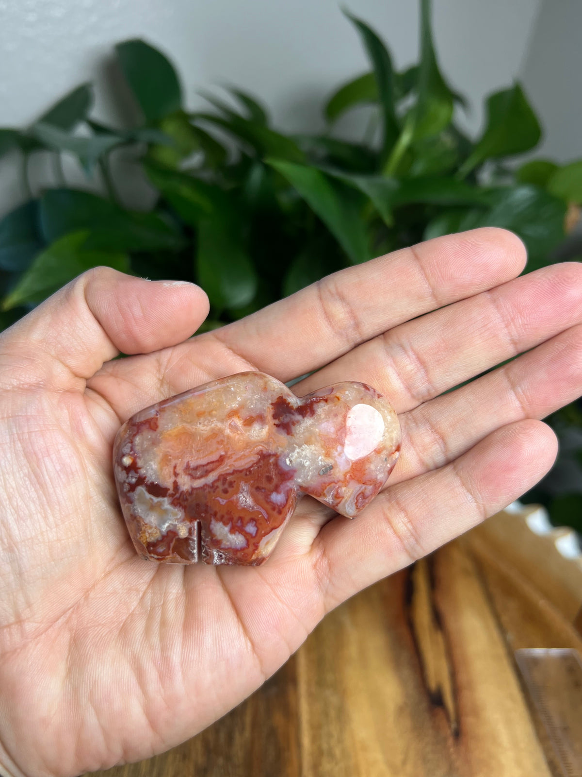 Carnelian Mini Buffalo: BD