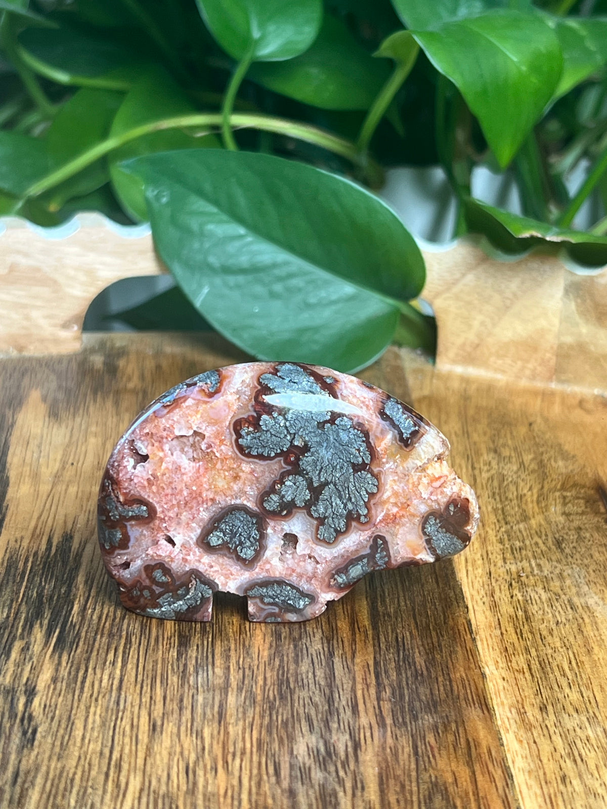 Marcasite Bear: PD