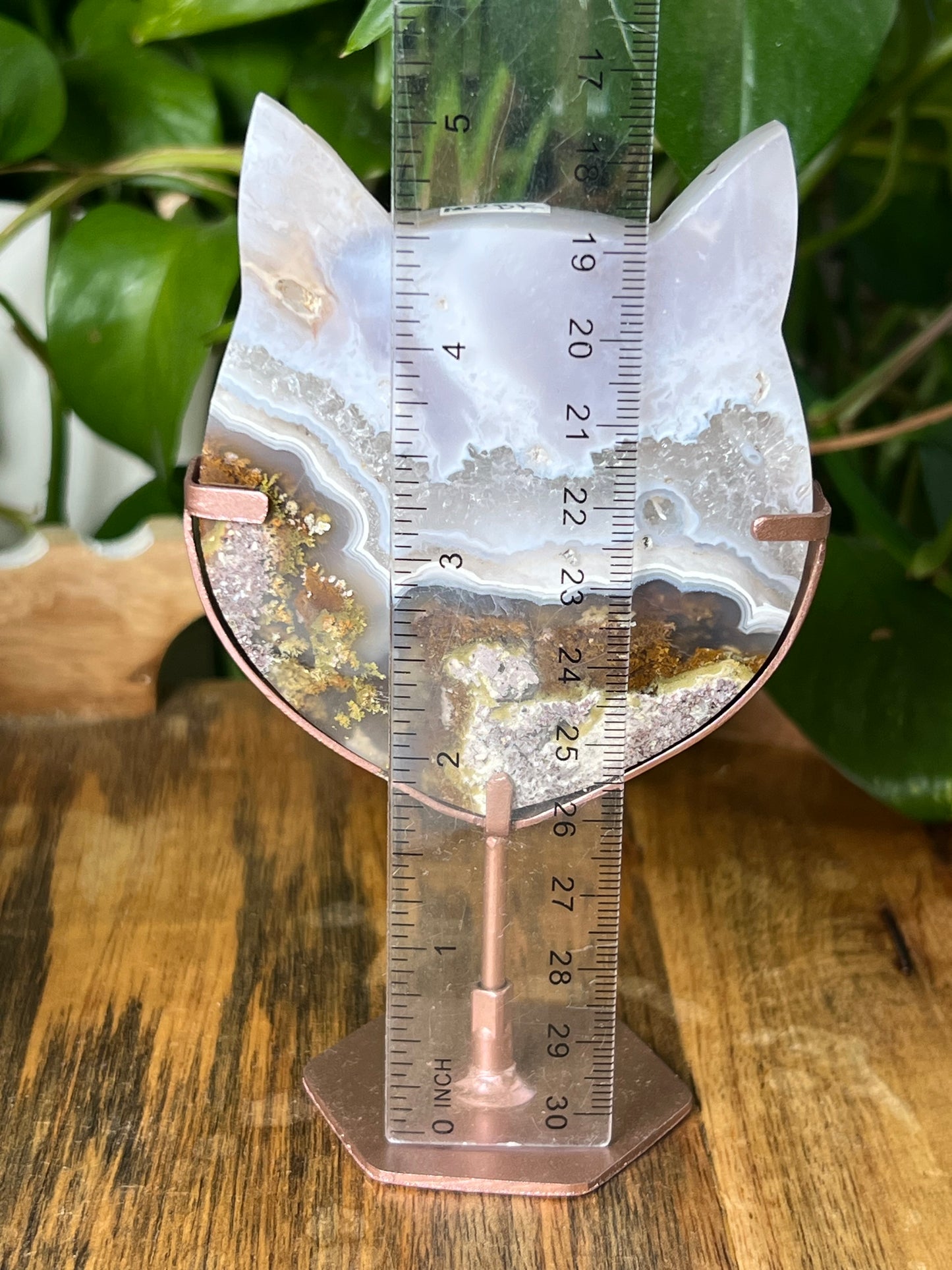 Scenic Moss Agate Cat Head