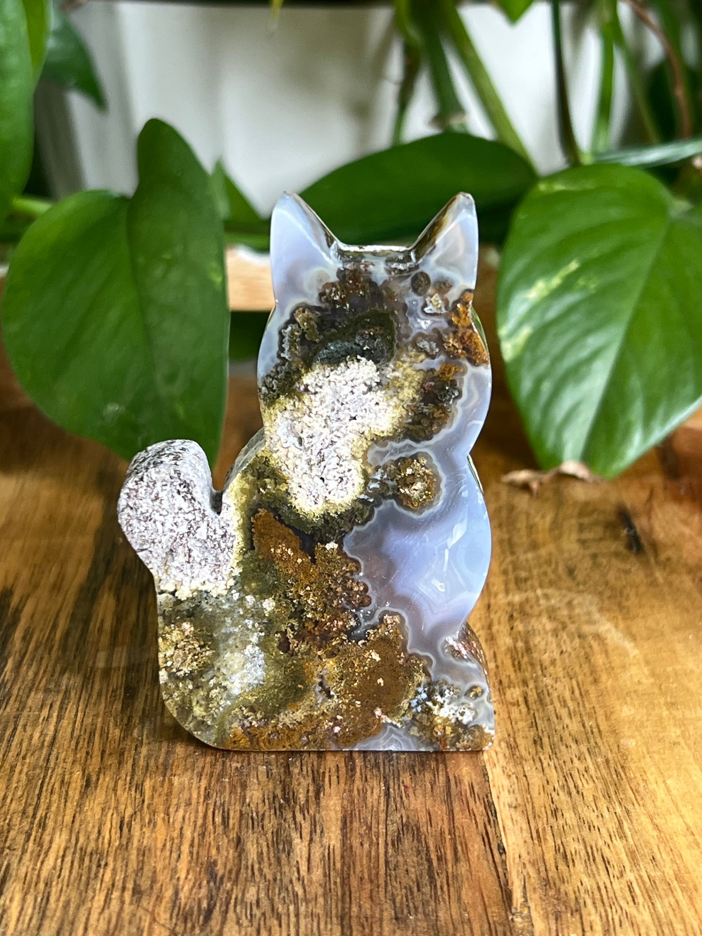Scenic Moss Agate Cat HD