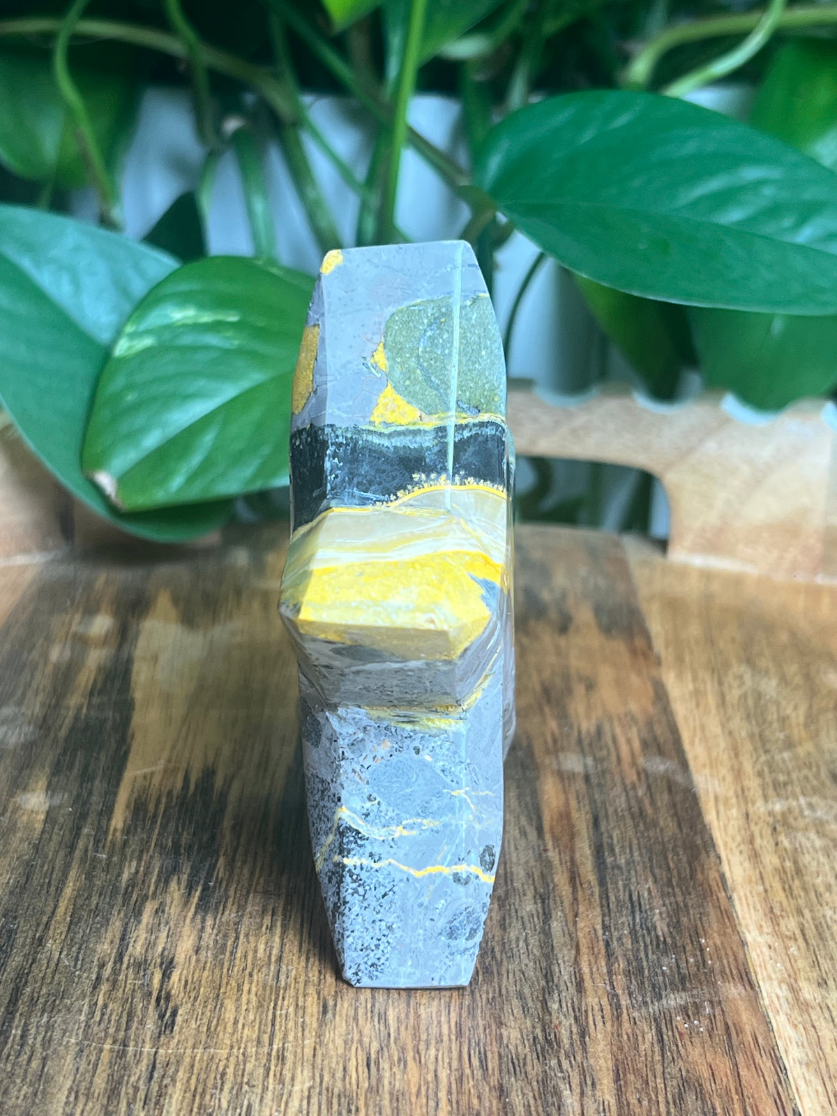 Bumblebee Jasper Star: E