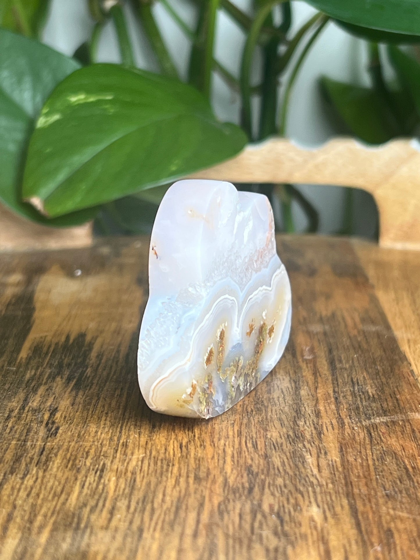 Scenic Moss Agate Cloud: HG