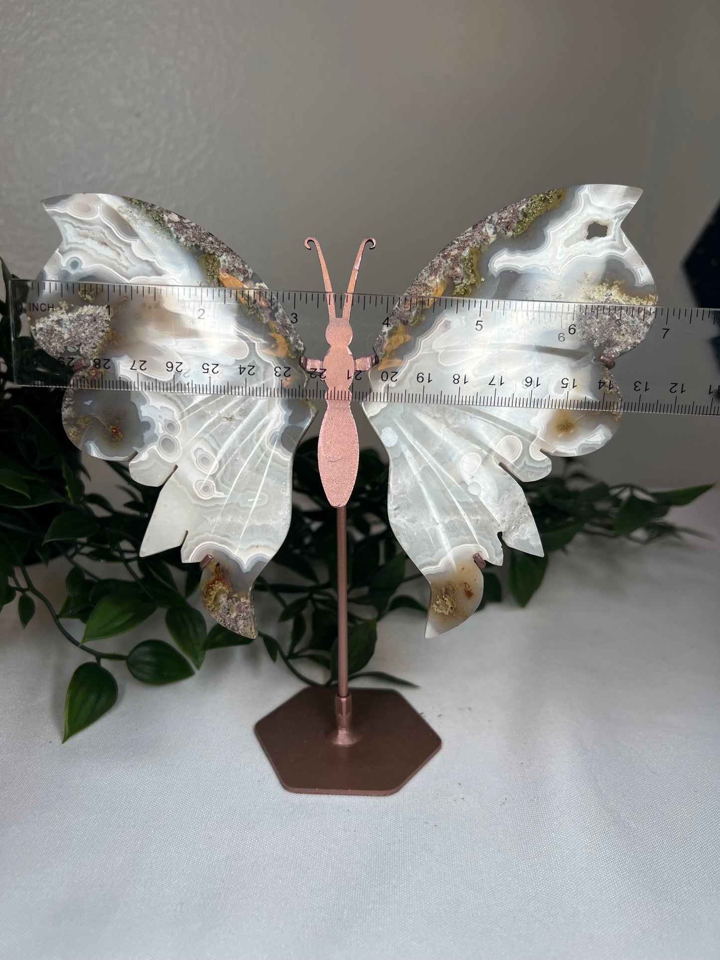 Scenic Moss Agate Wings