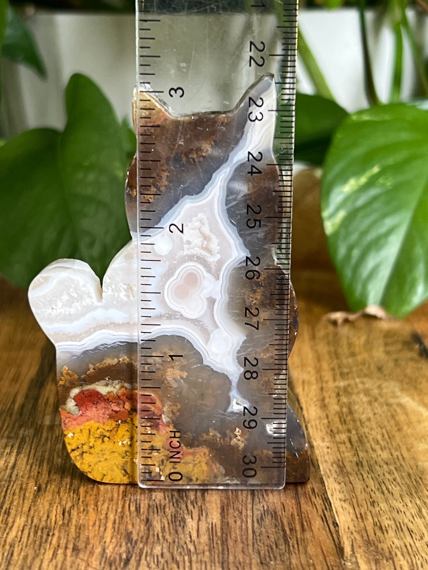 Scenic Moss Agate Cat HZ