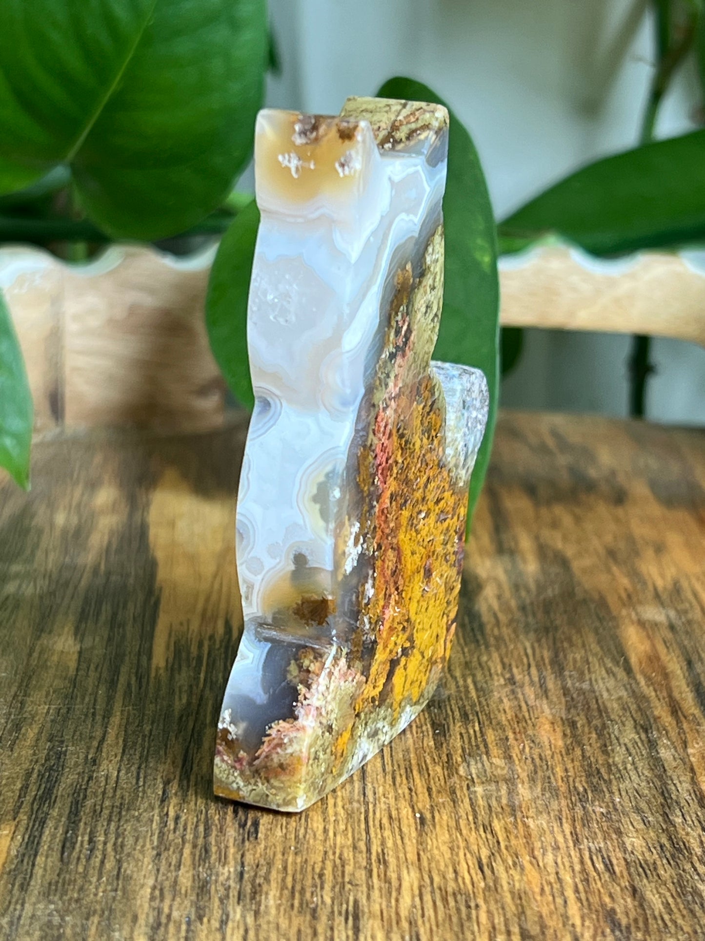 Scenic Moss Agate Cat HF