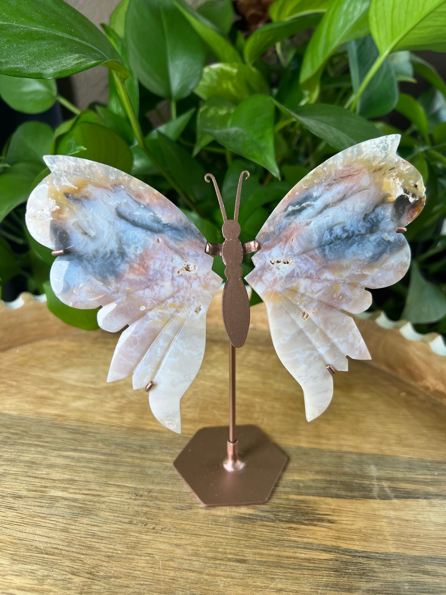 Rainbow Plume Agate Wings