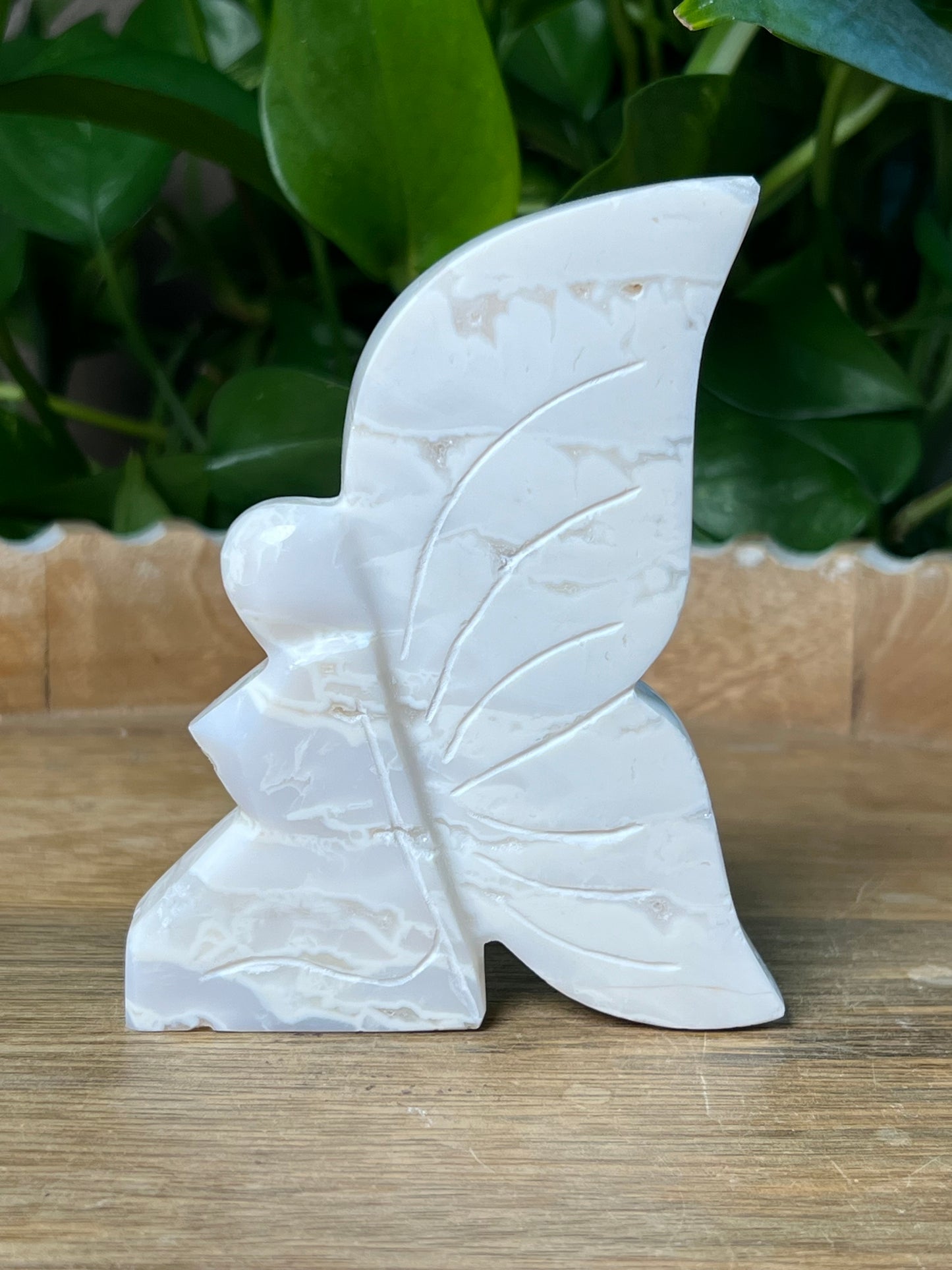 White Plume Agate Fairy
