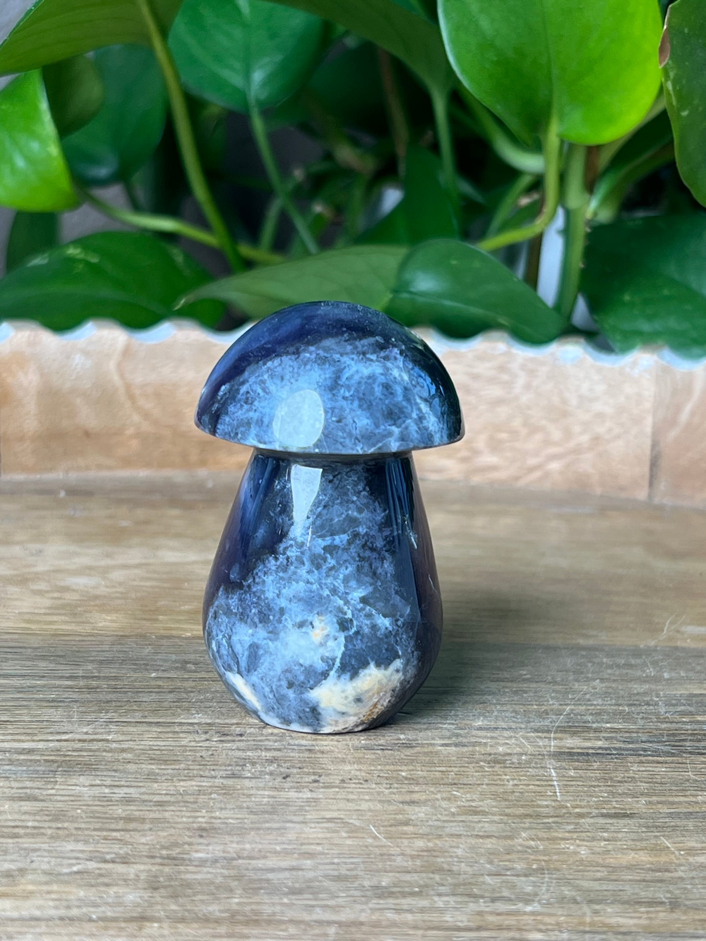 Purple Chalcedony Mushroom: BI