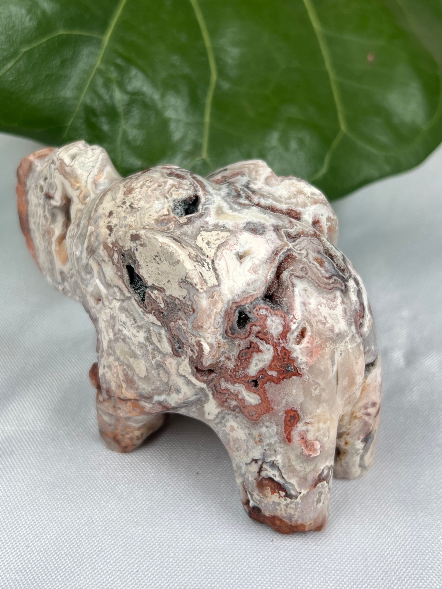 Crazy Lace Agate Elephant