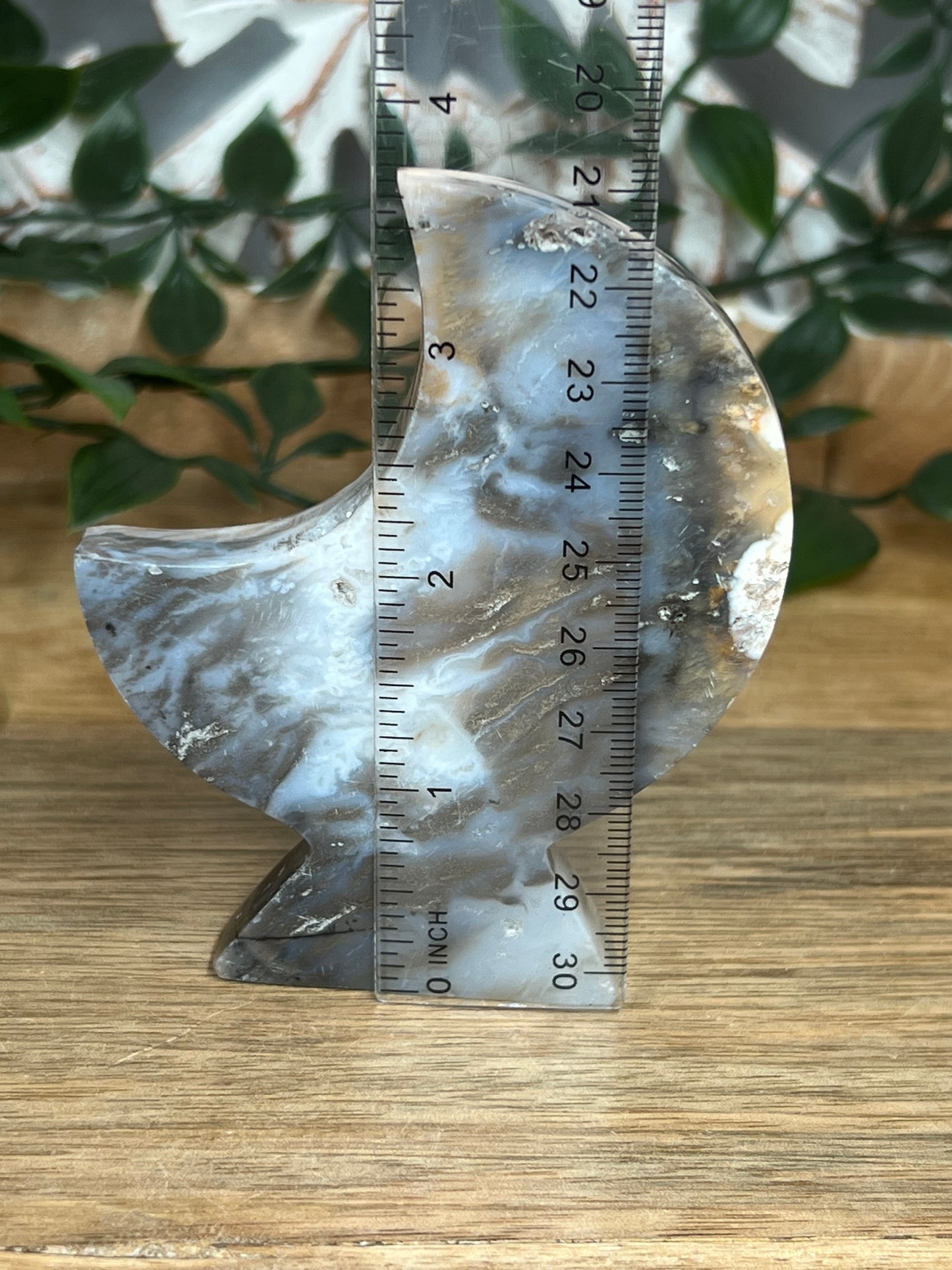 Dendritic Tiger Agate Moon