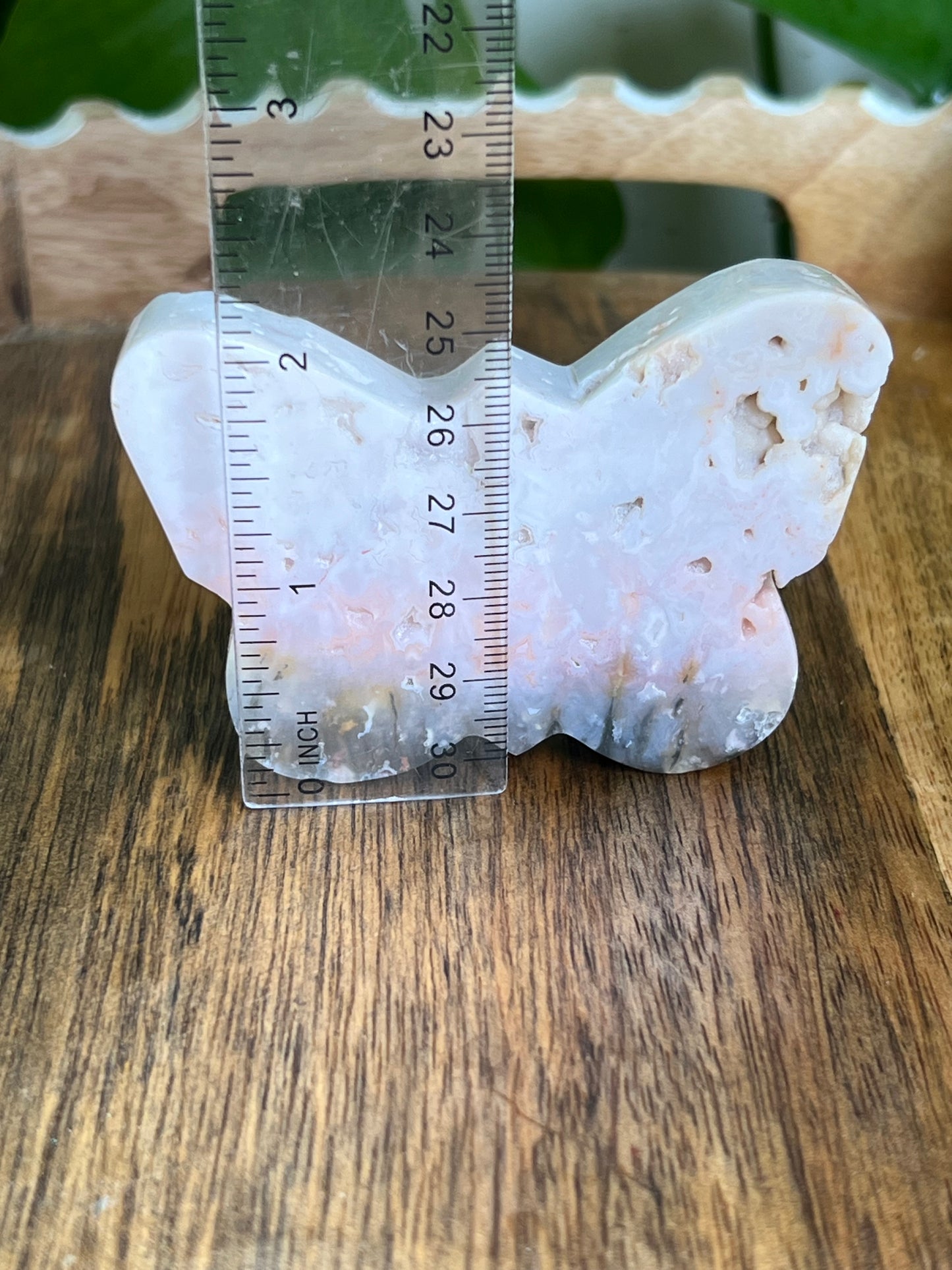 Rainbow Plume Agate Butterfly RR
