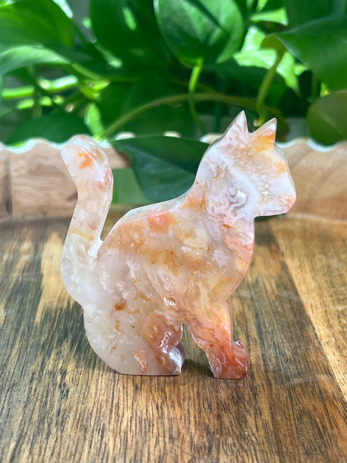 Carnelian Cat: PE