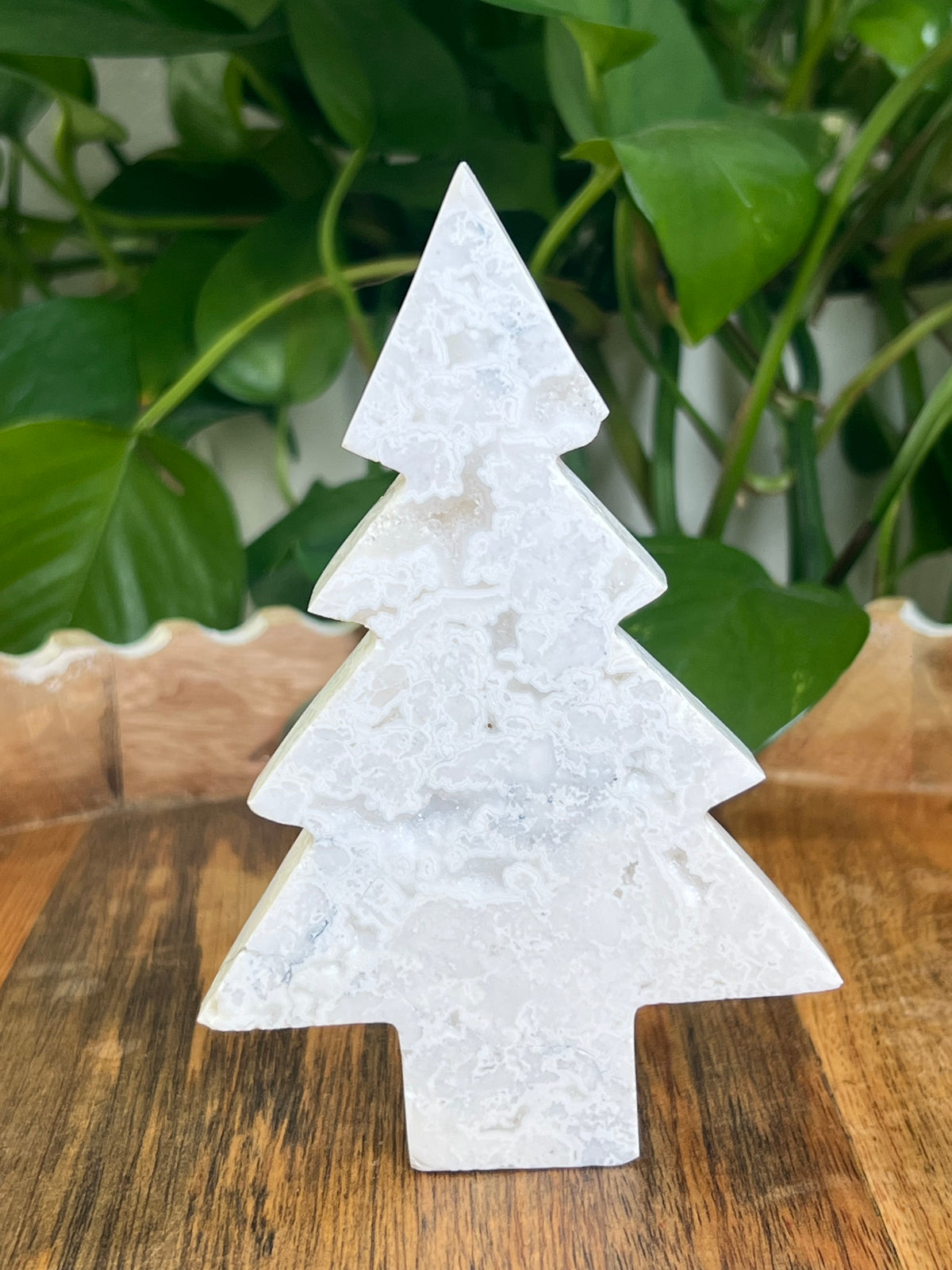 White Plume Agate Tree: DC