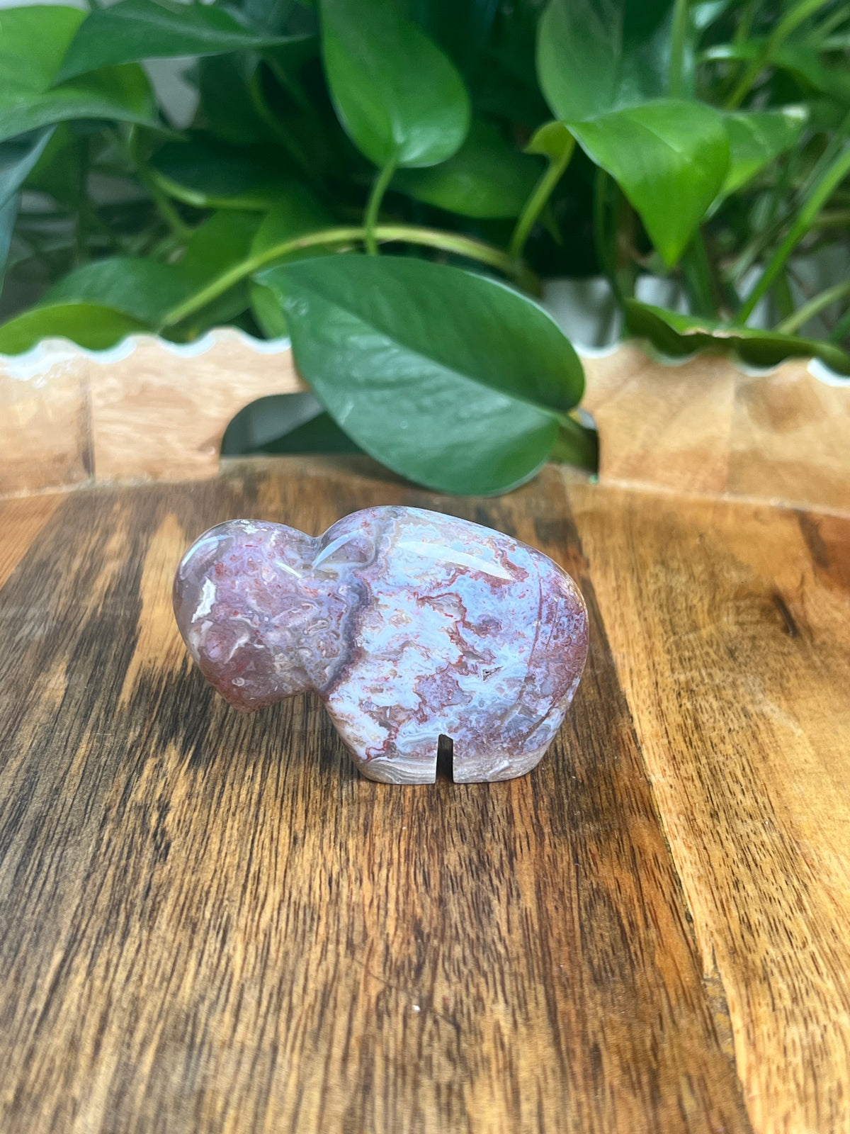 Sumatra Plume Agate Mini Buffalo: DK