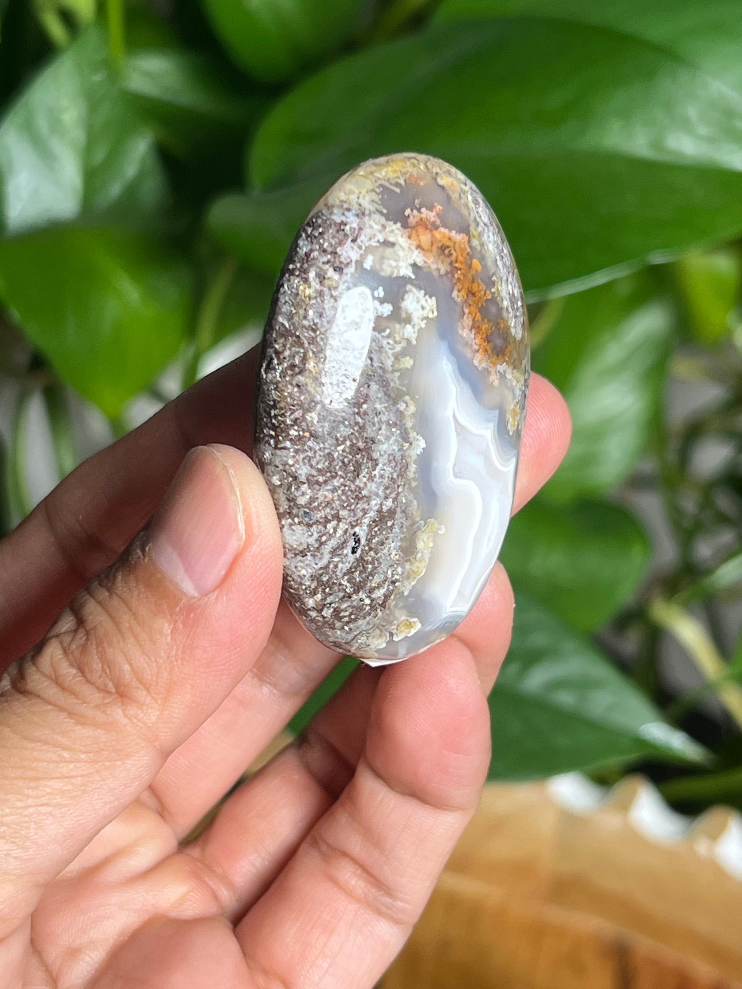 Scenic Moss Agate Palmstone: QC