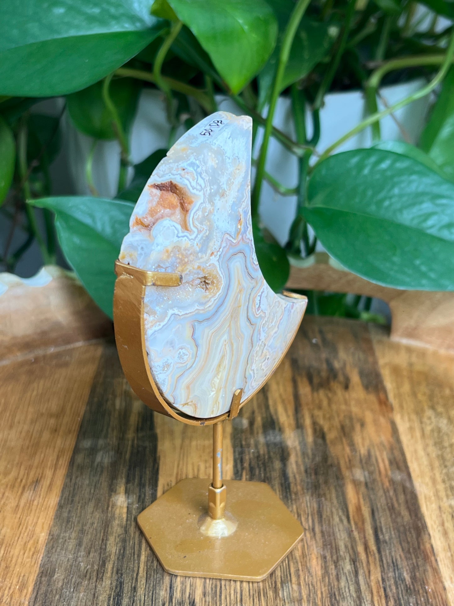 Yellow Crazy Lace Agate Moon: DB