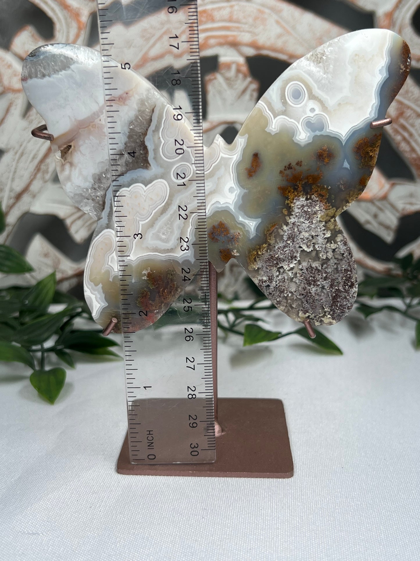 Scenic Moss Agate Butterfly