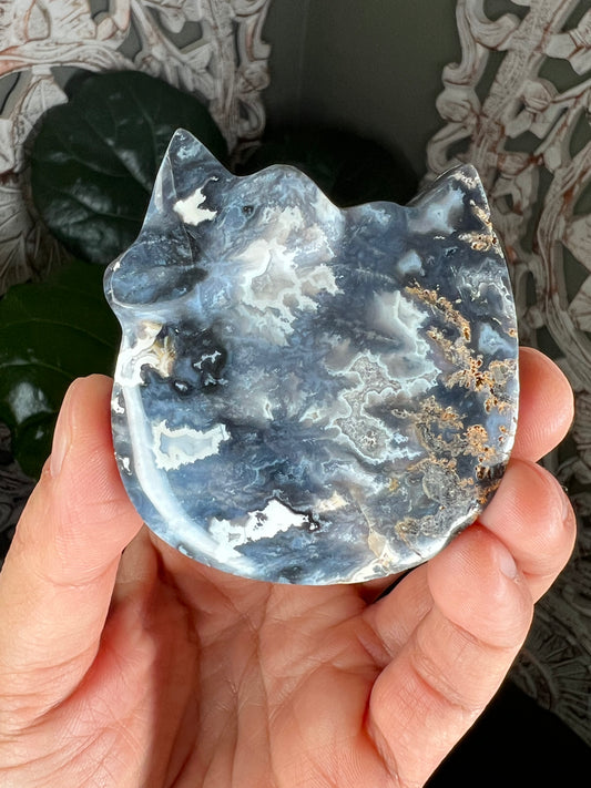 Blue Plume Agate Cat