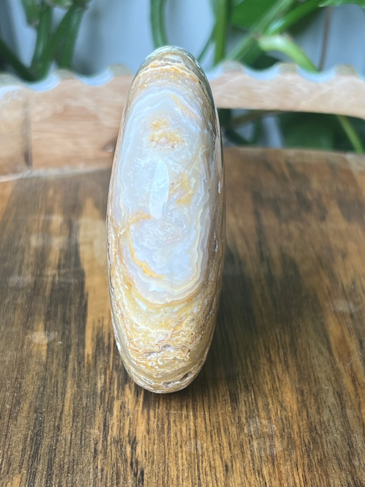 Yellow Crazy Lace Agate Moon
