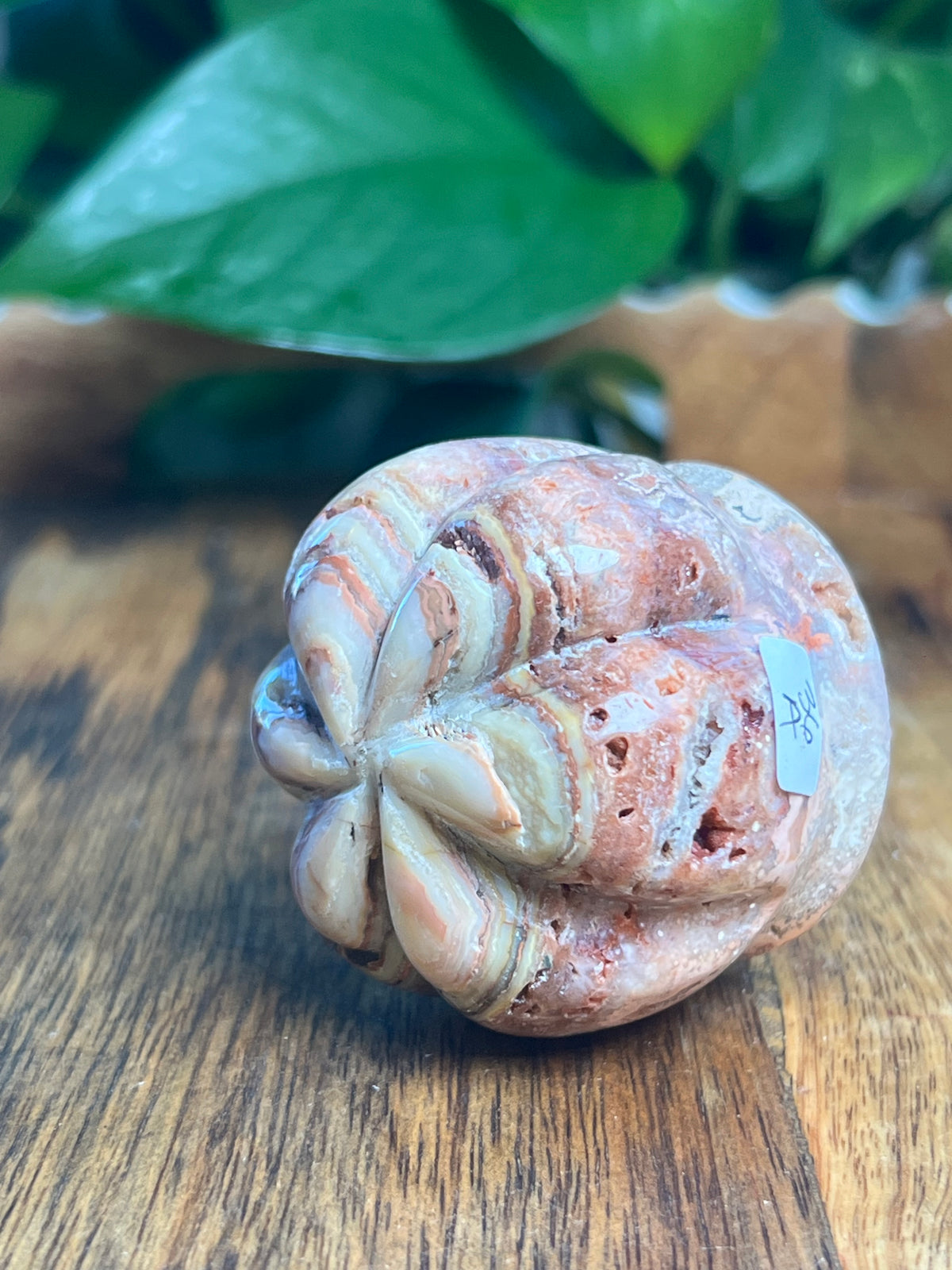 Crazy Lace Agate Pumpkin: A