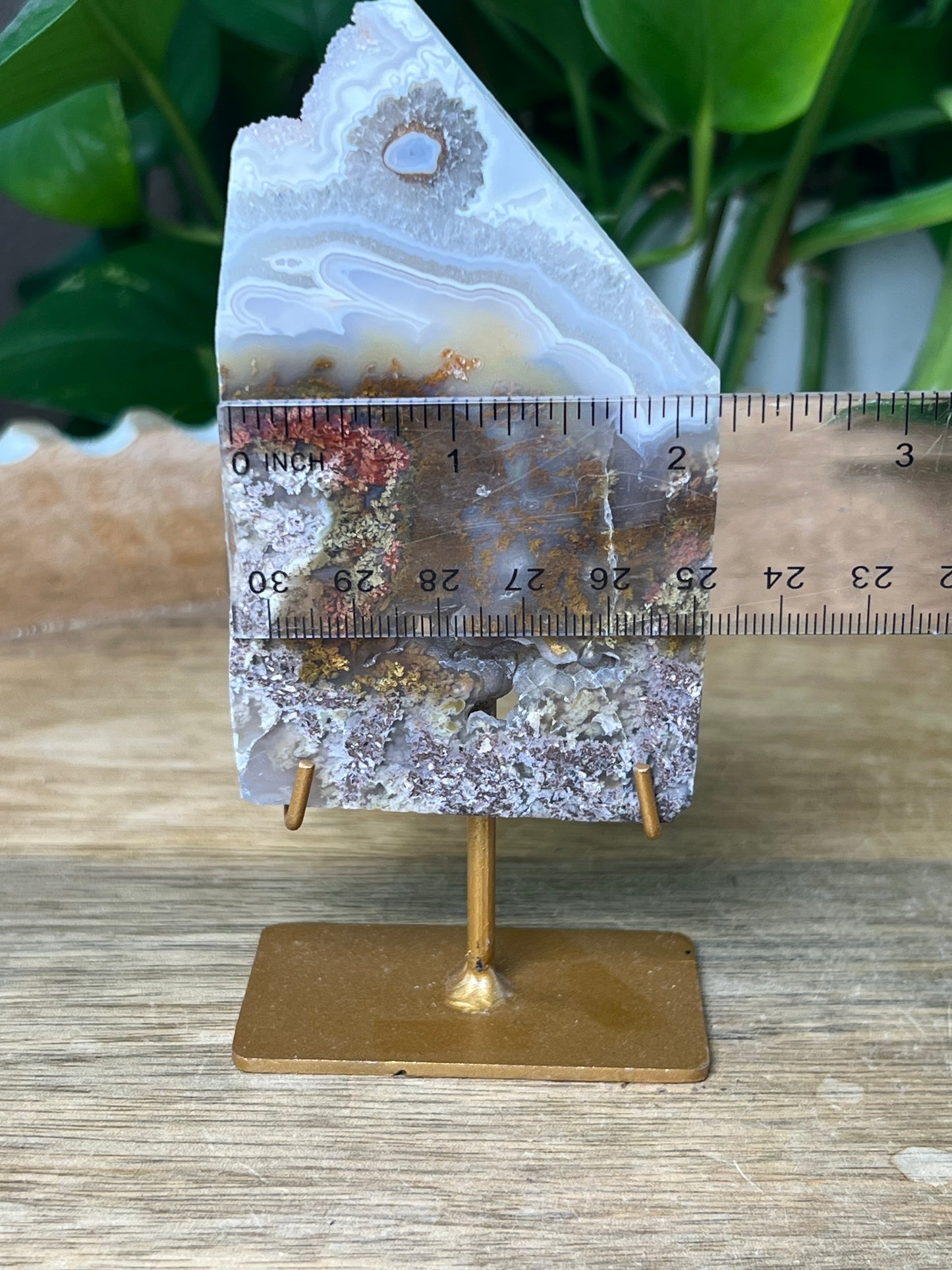 Scenic Moss Agate Slab