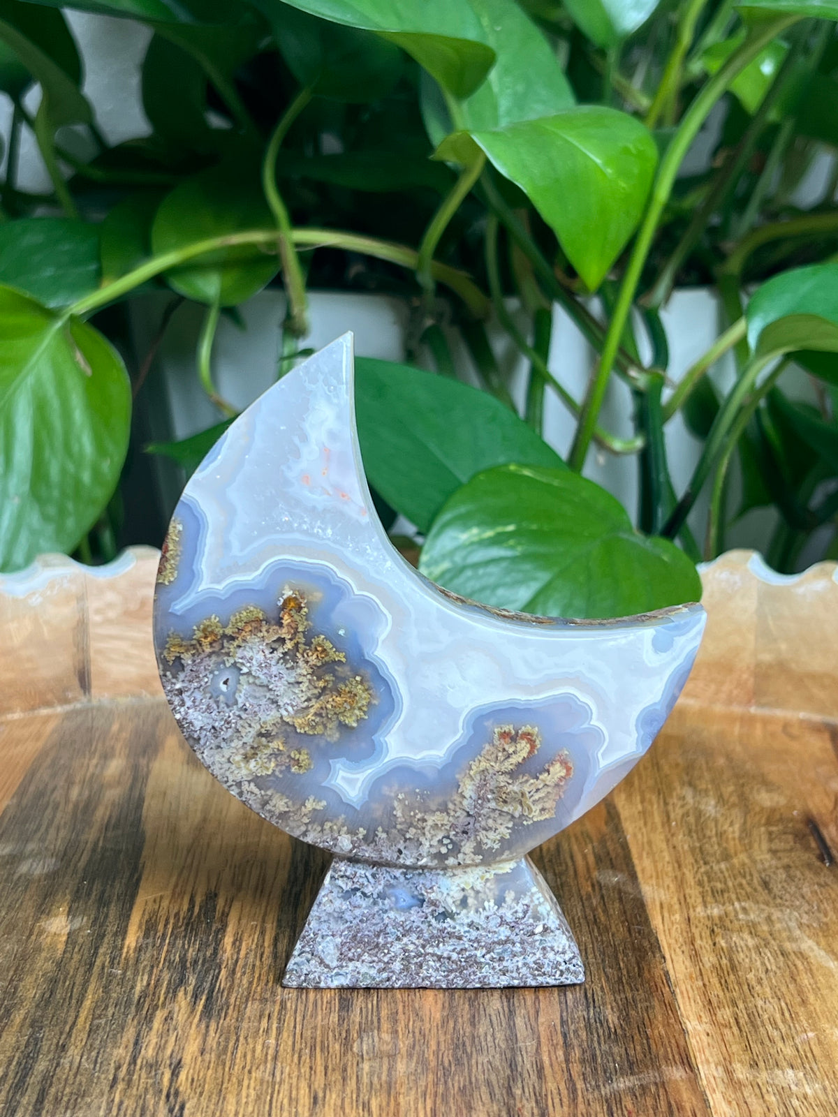 Scenic Moss Agate Self-Standing Moon: LF