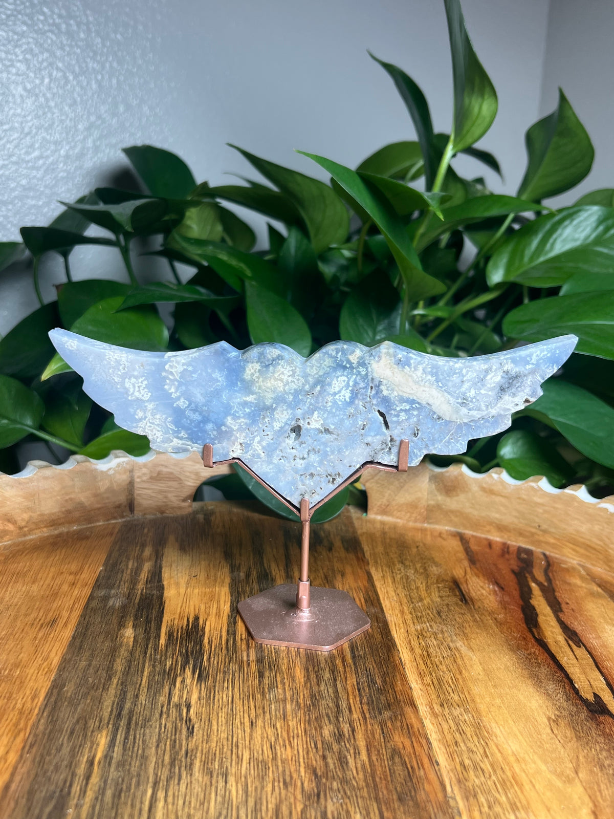 Blue Plume Agate Wings: Di