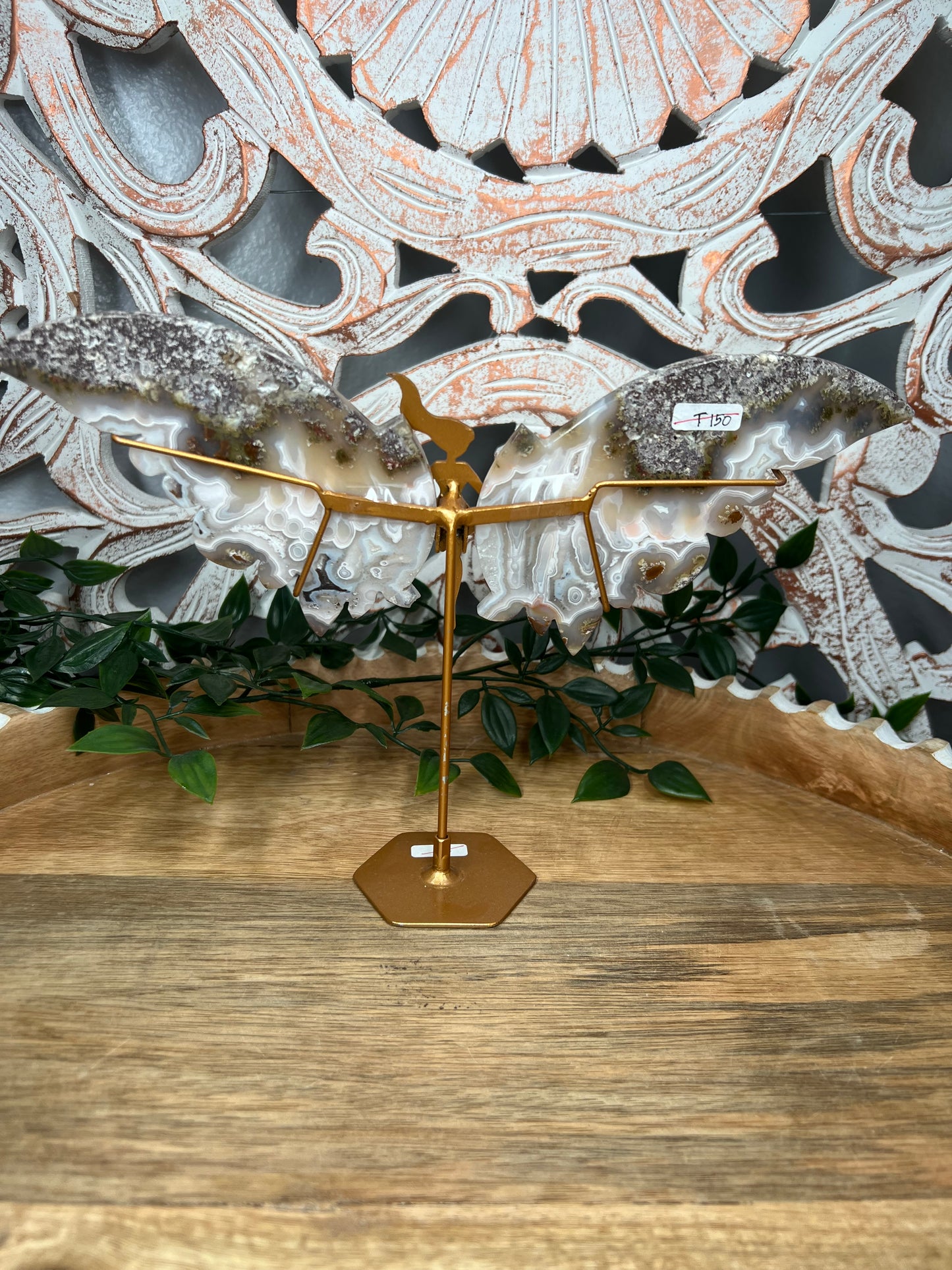 Scenic Moss Agate Wings