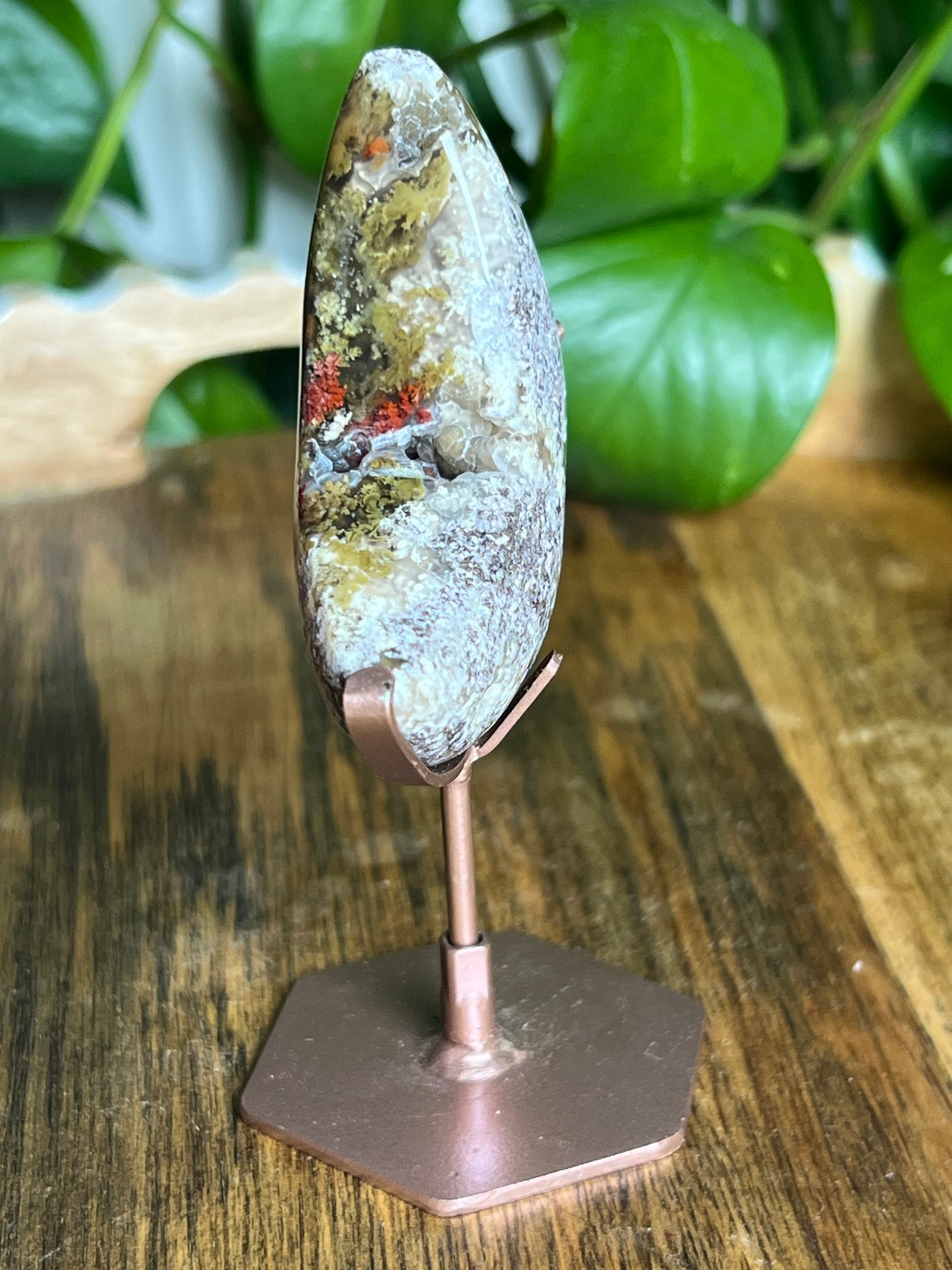 Scenic Moss Agate Moon