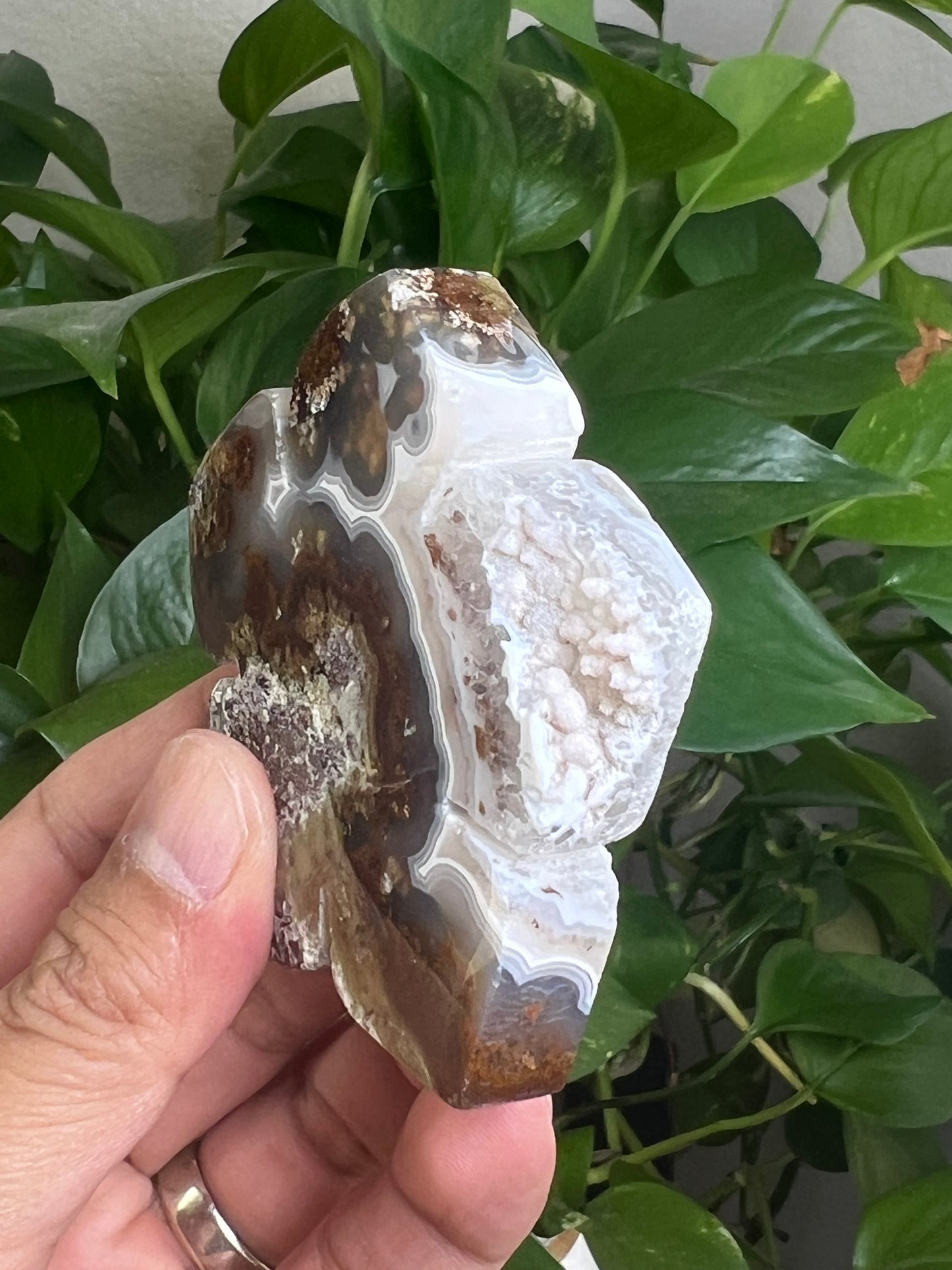 Scenic Moss Agate Flower PB