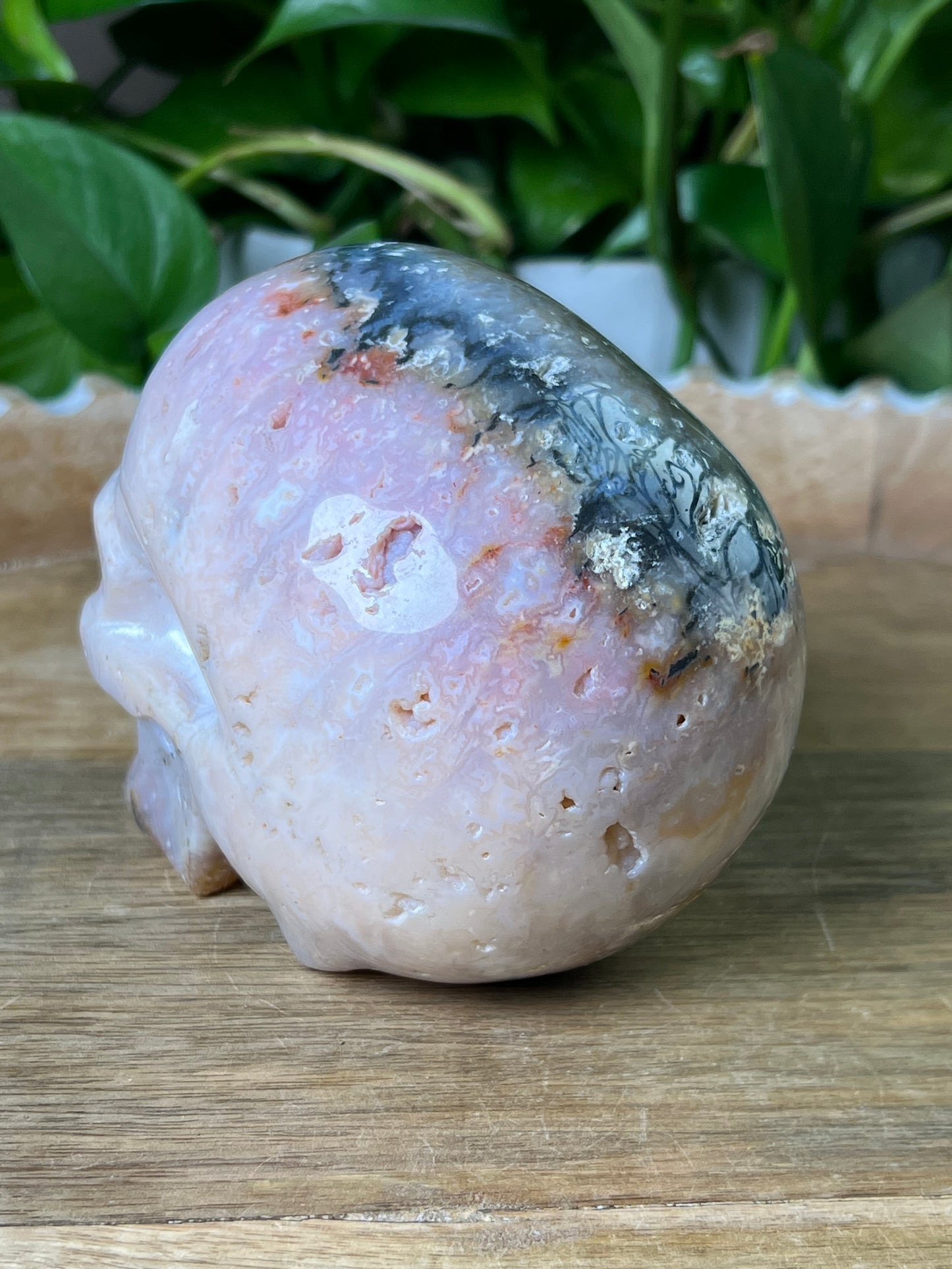 Rainbow Plume Agate Skull
