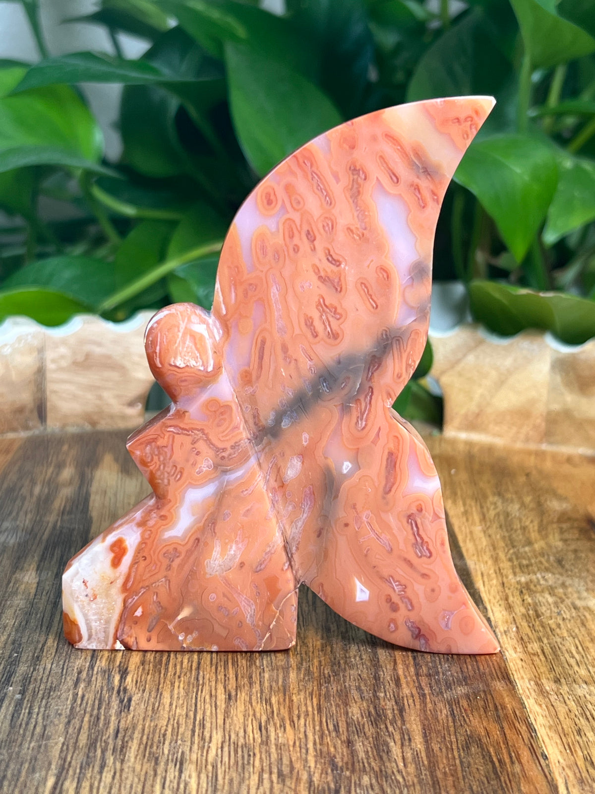 Carnelian Fairy: B