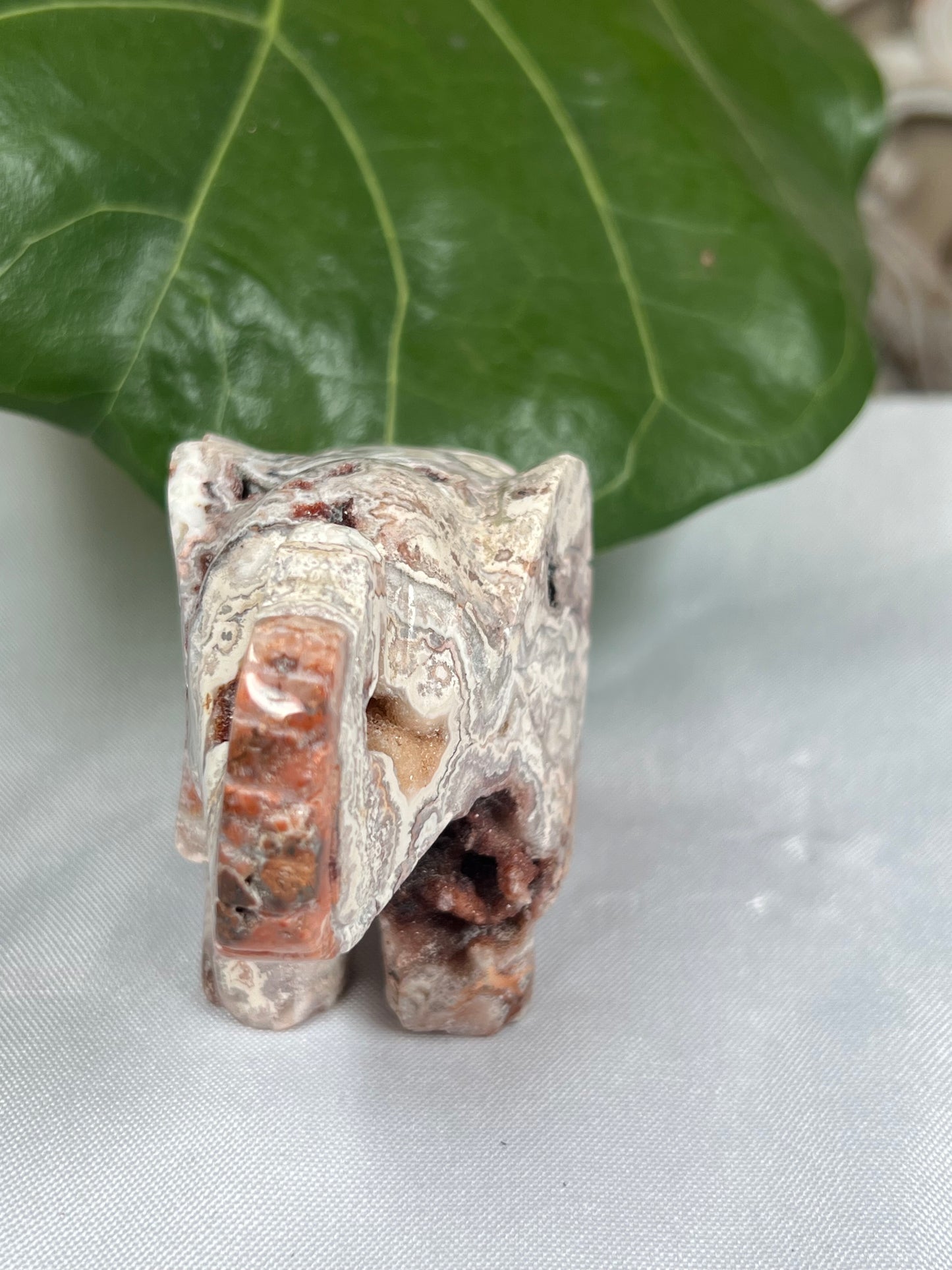 Crazy Lace Agate Elephant