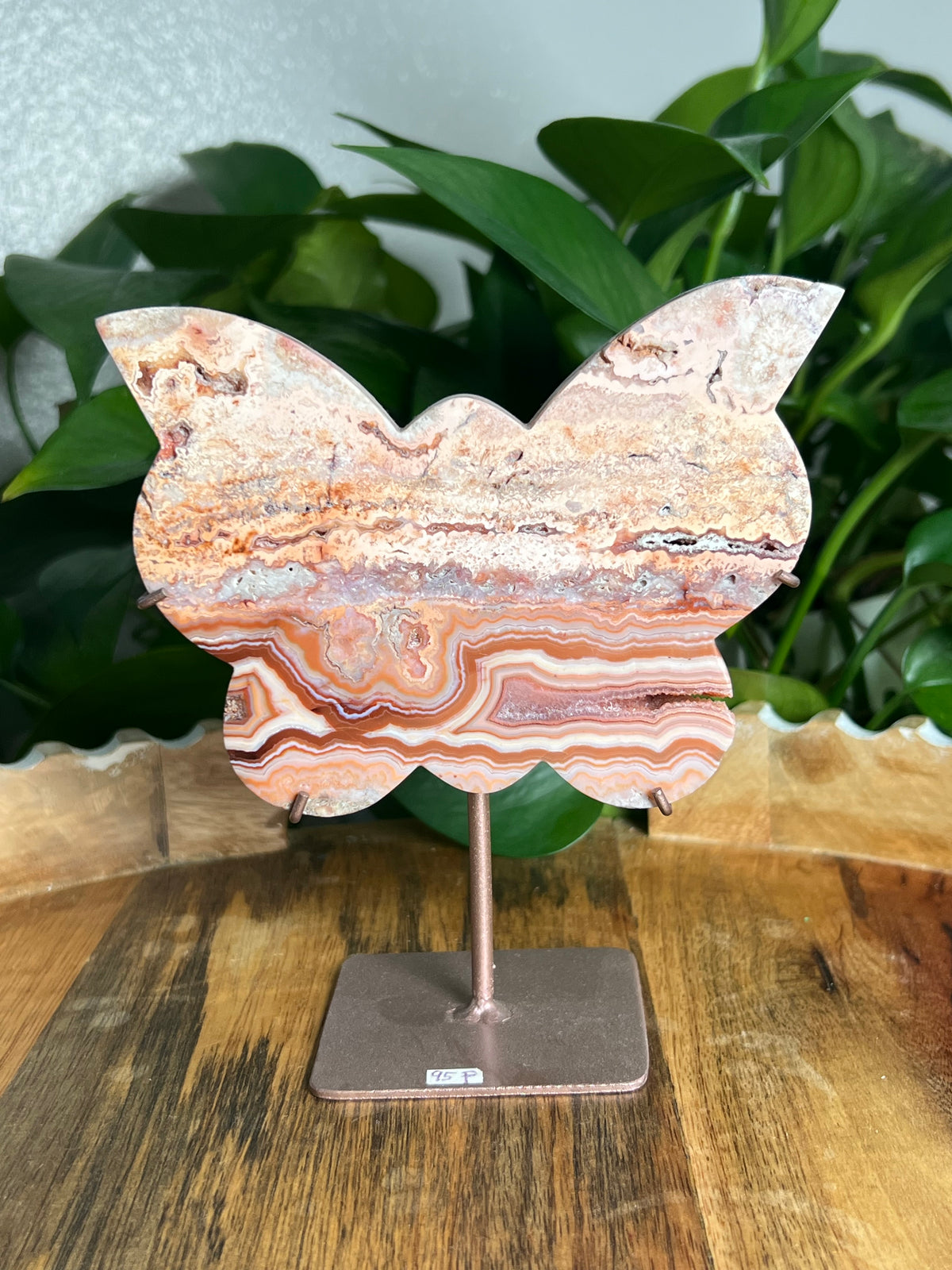Crazy Lace Agate Butterfly: F